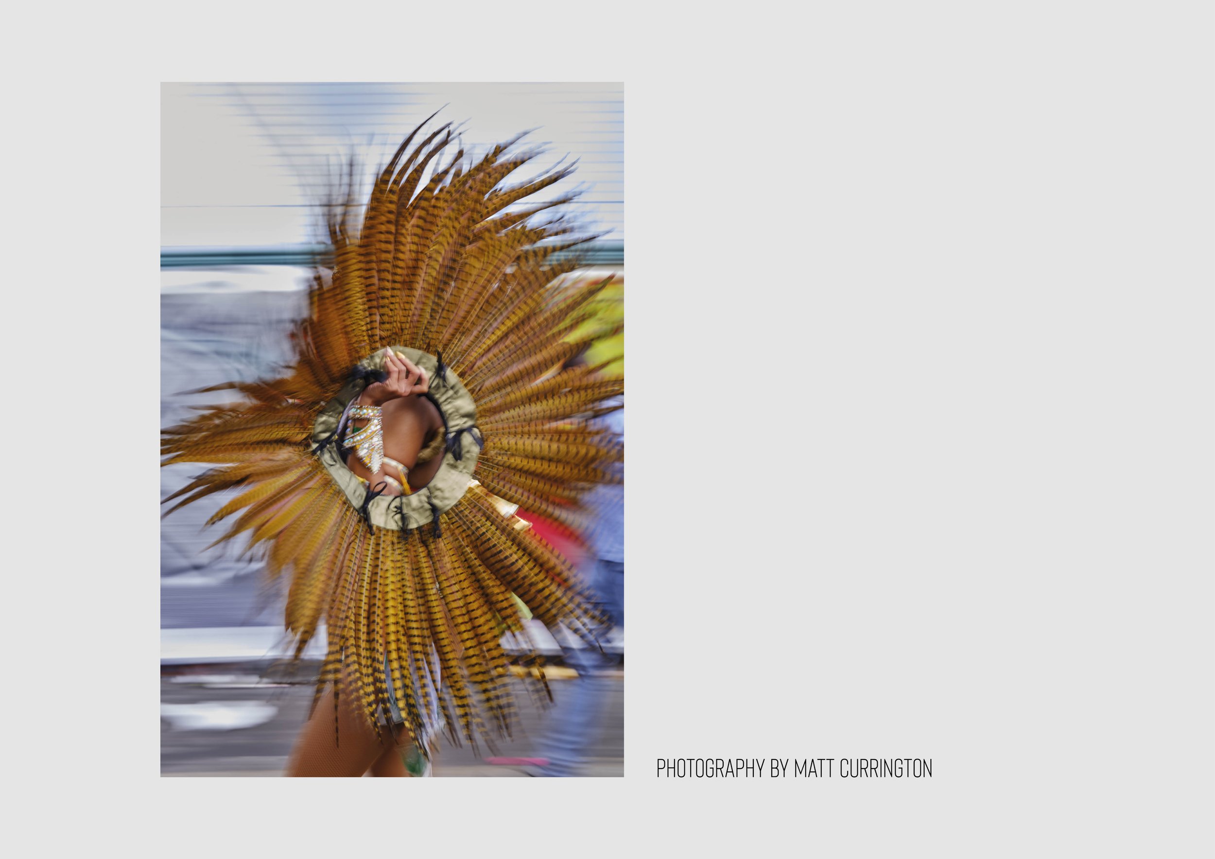 Preview CARNIVAL_30.jpg