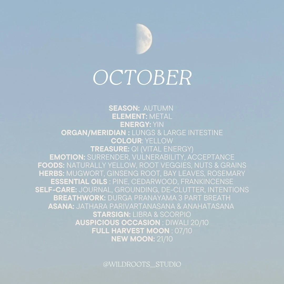 Hi It&rsquo;s been a while, soon we have some news but for now we&rsquo;re back sharing some little squares of musings, reminders and inspiration&hellip; this time of year reminds us quite literally of the beauty &amp; cycles of life and that althoug