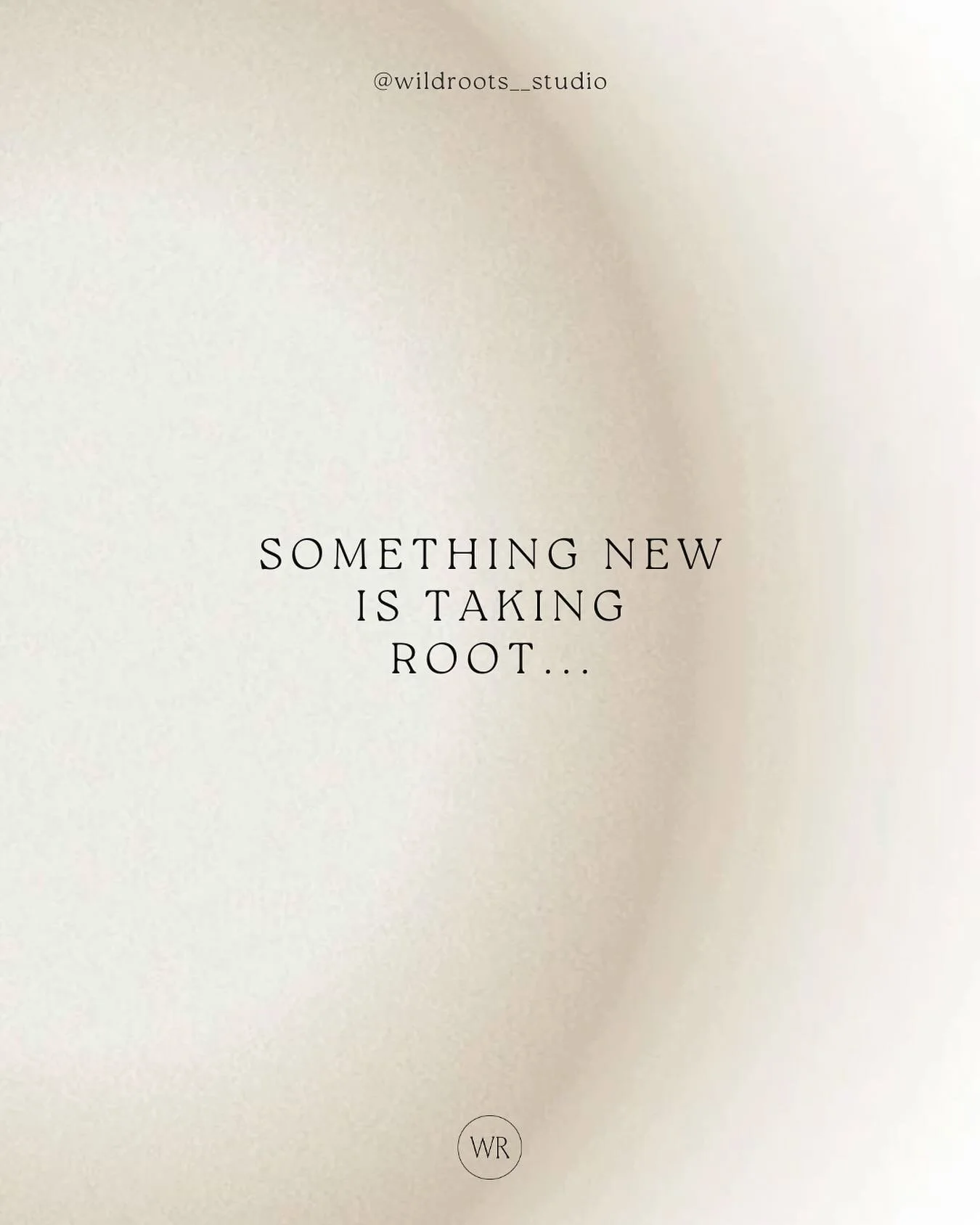 Something new is taking root&hellip;
Quiet growth. Deep roots.
A new season is coming into being. 🤍🌱

#wildrootsstudio #mindfulmovement #embodiedmovement #nurturedandempowered #roottorise #eastlondonyoga #yogacommunity