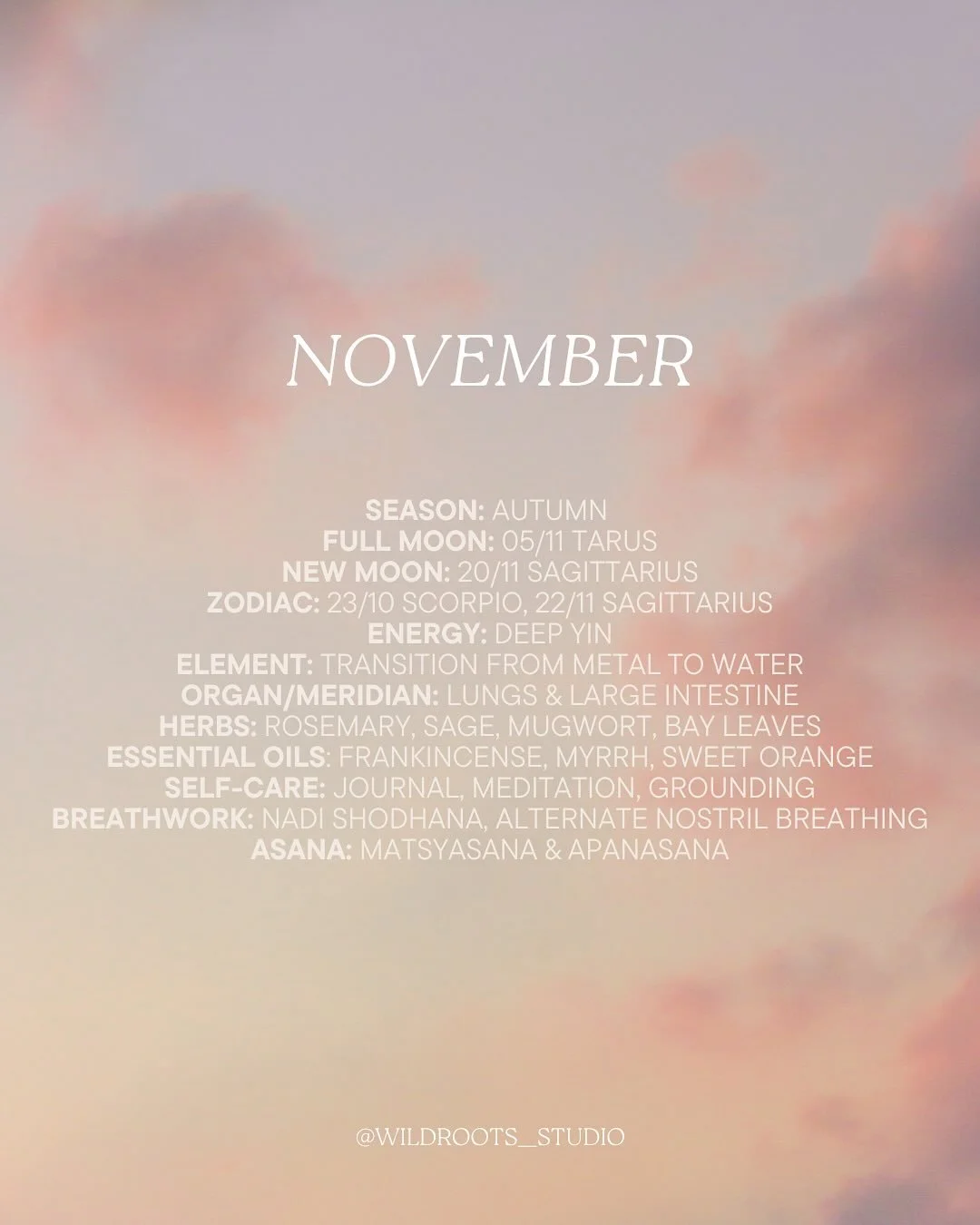 A little November check-in&hellip; a time to turn inward and remember that endings are just beginnings in disguise 🍁✨

We&rsquo;ve been in a season of rest and renewal, quietly preparing the studio for its next chapter. We can&rsquo;t wait to welcom