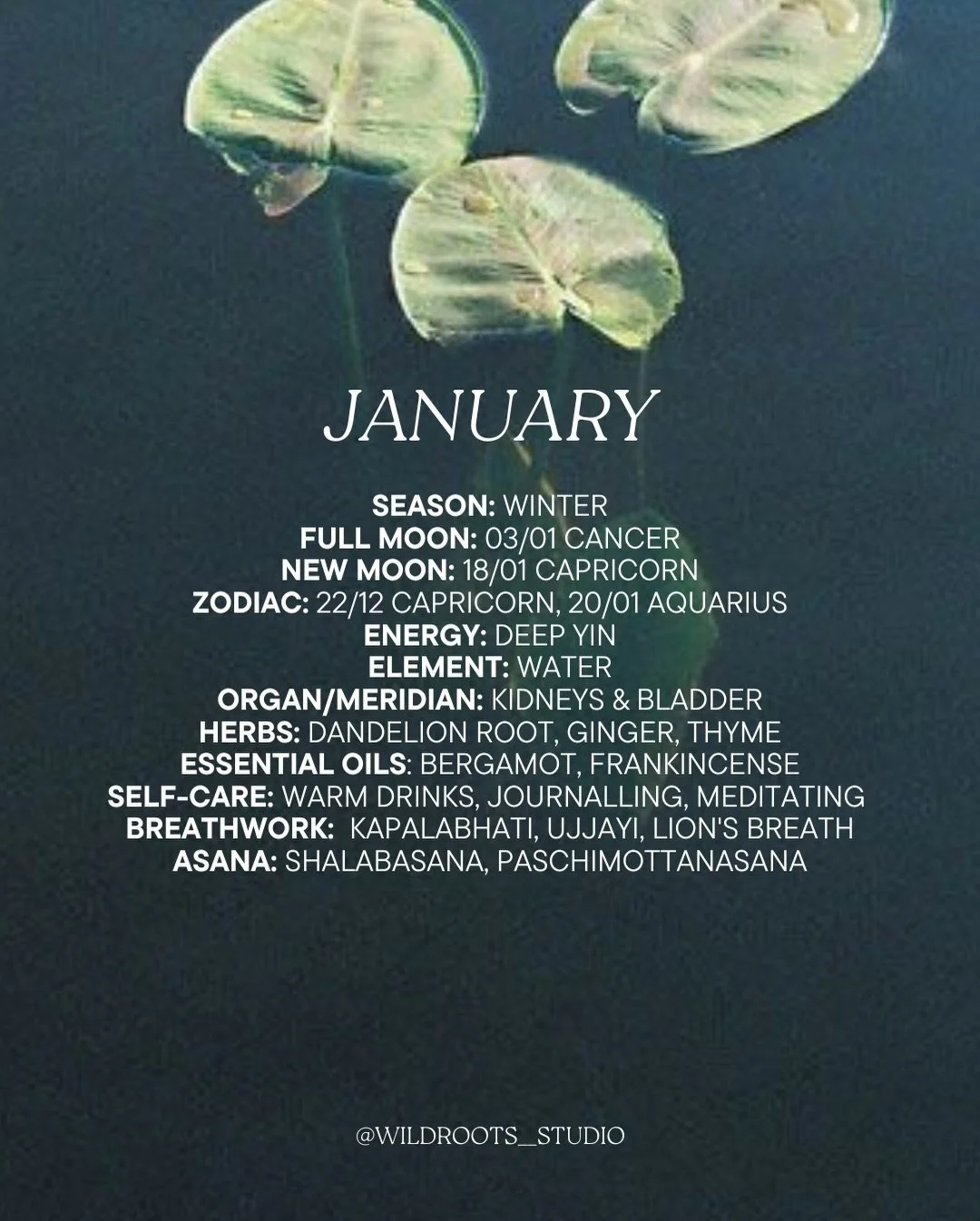 Notes for January &amp; a reminder that we have a wonderful schedule of classes with lovely lovely teachers to hold, nourish and support you this month through the cold and dark, it&rsquo;s always better together ❄️🤍