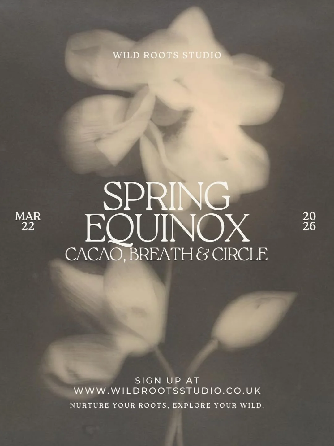 Join&nbsp;@dancingfortheanswers in celebrating the Spring Equinox on the 22nd March with a Ceremonial Cacao, Breathwork and Circle workshop at Wild Roots 🤍

Through gentle, embodied breathwork and a somatic body scan, we&rsquo;ll awaken the body, re