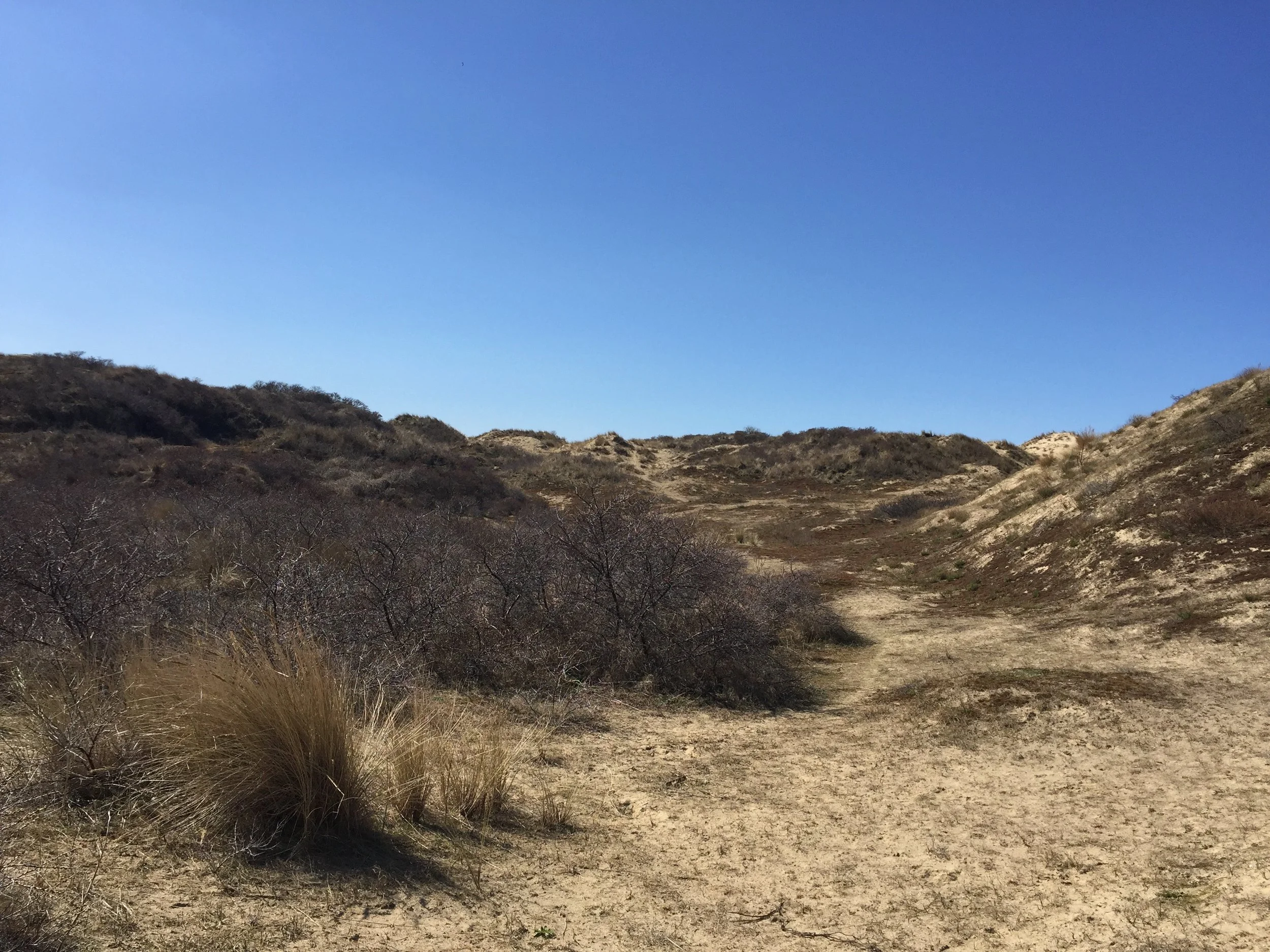 Verkoopsbezwaren tackelen