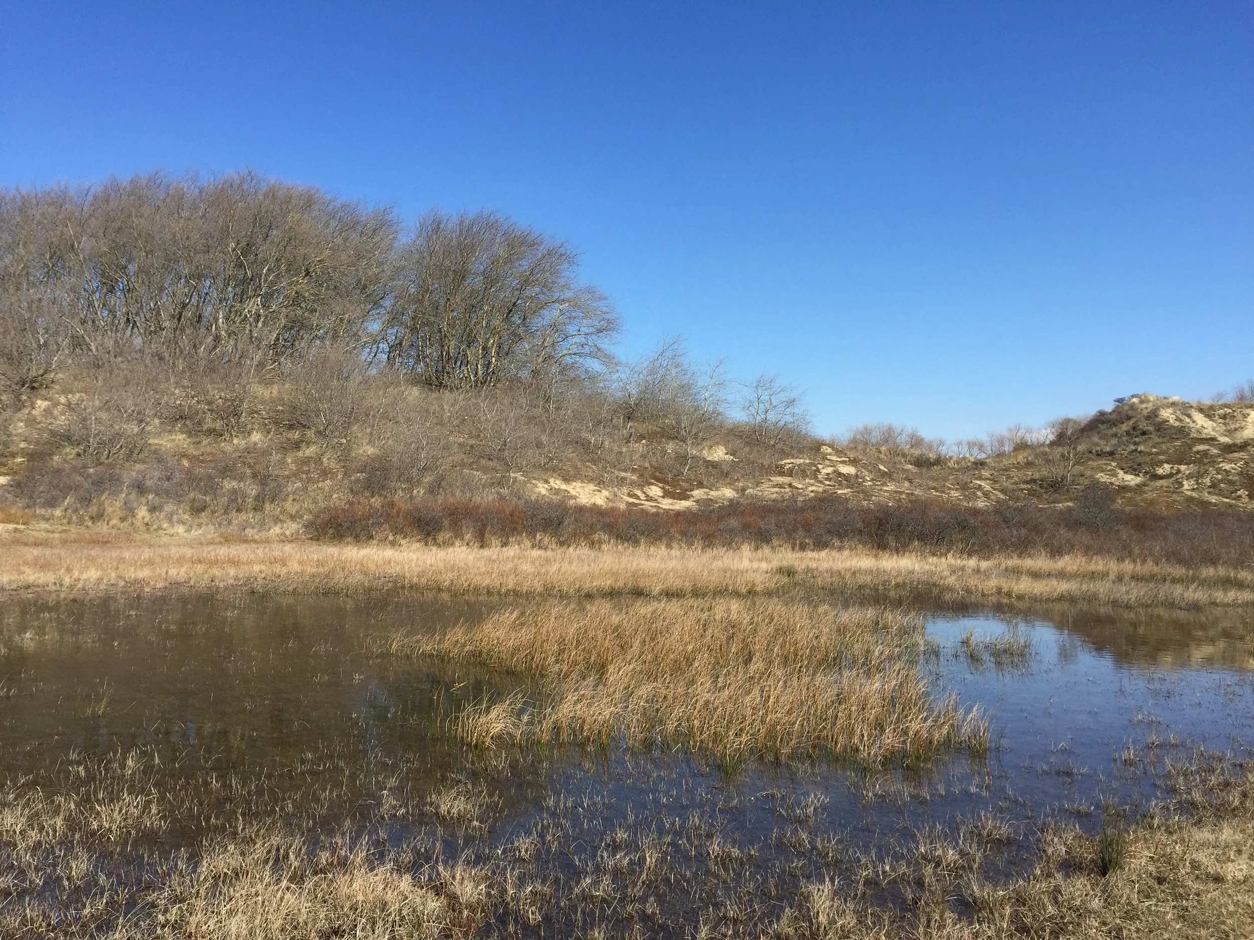 Hoe stevig staat jouw bedrijf?