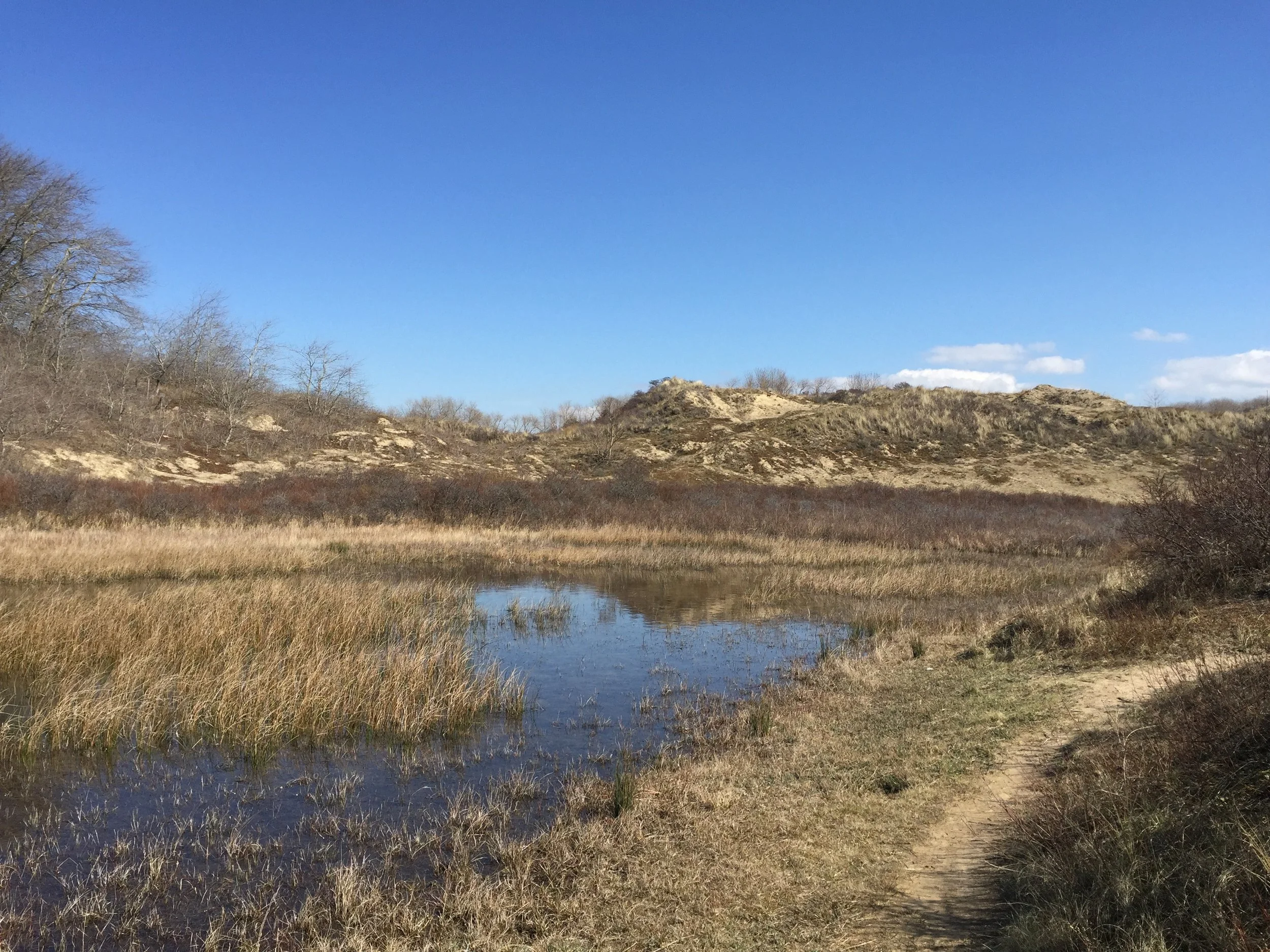 Waarom zou je een business coach nemen?