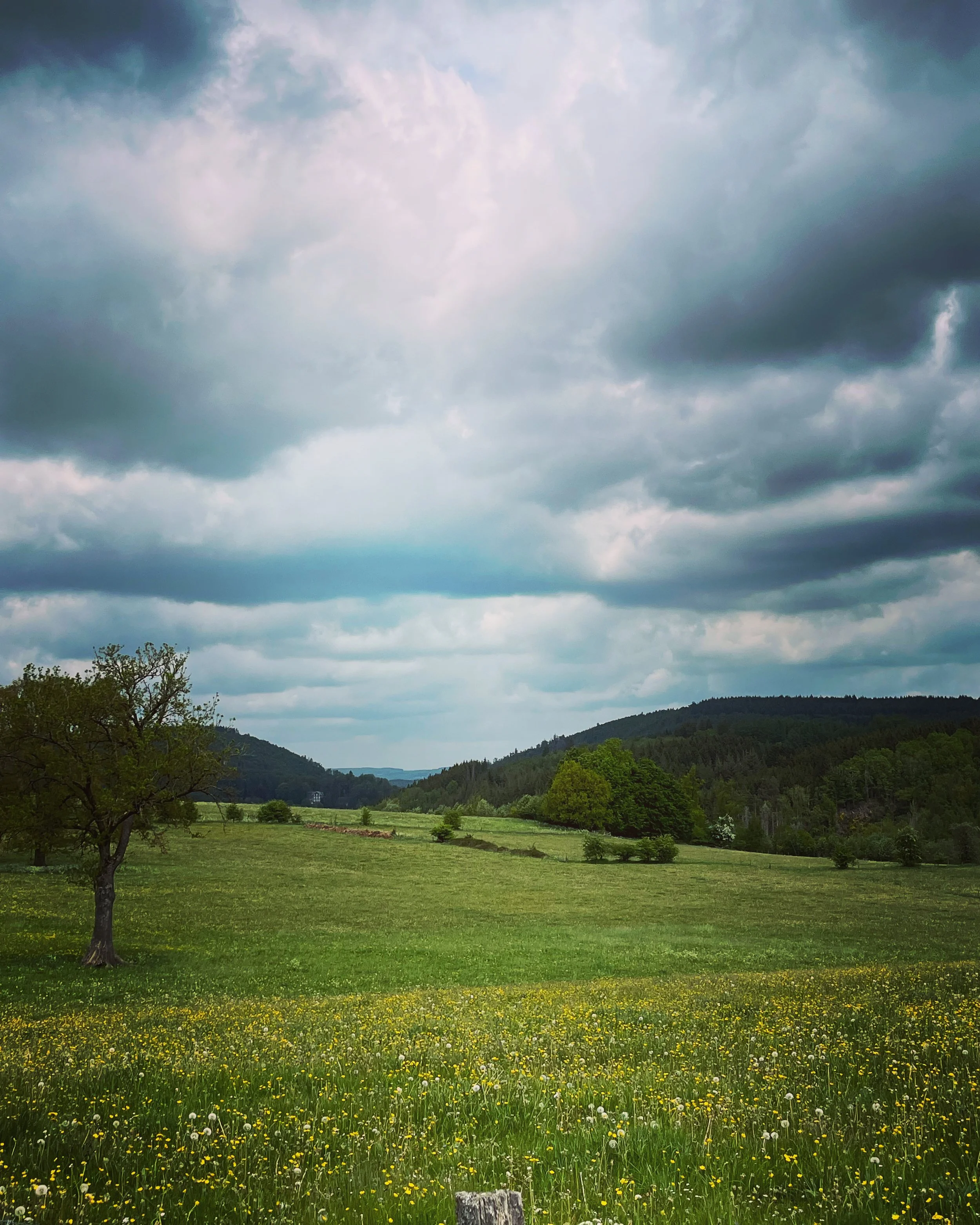 Waar laat jij geld liggen?