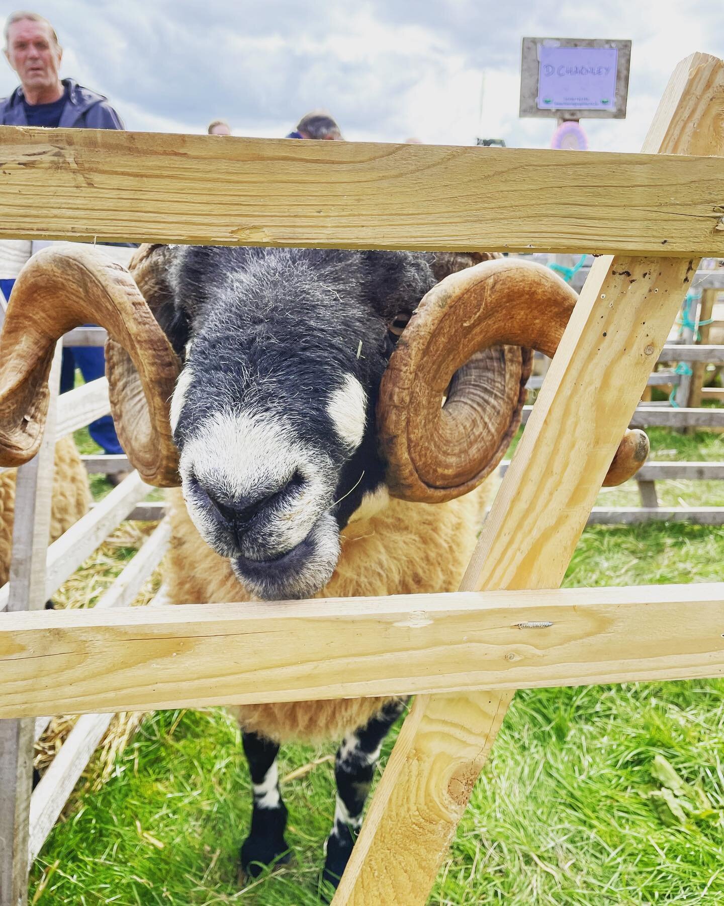 Lovely afternoon spent at our local agricultural show at @kilnseyshow a proper Yorkshire day out with a variety of livestock, produce, handicrafts, events and shopping as well as the famous Kilnsey Crag Fell Race. Look out for dates next year and mak