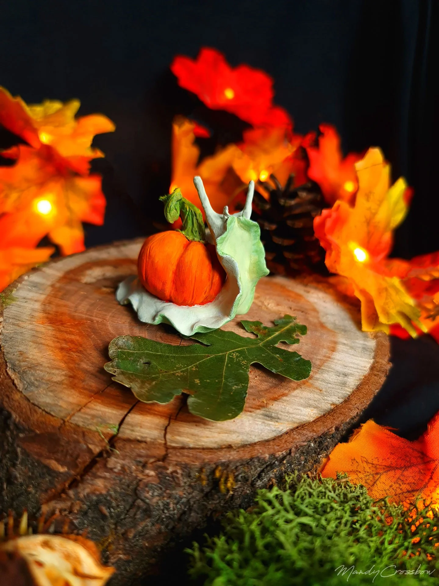 Process of the autumn snails