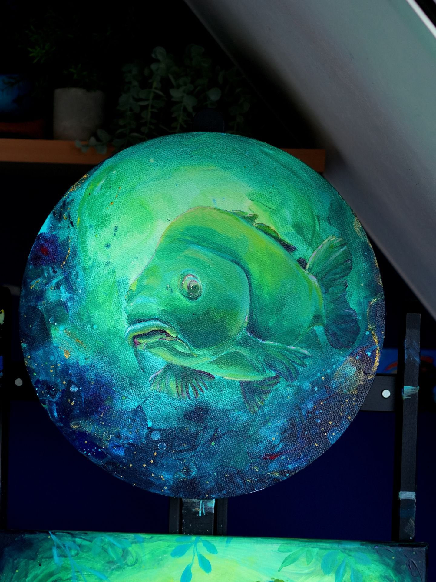 Karpfen Front Web.JPG