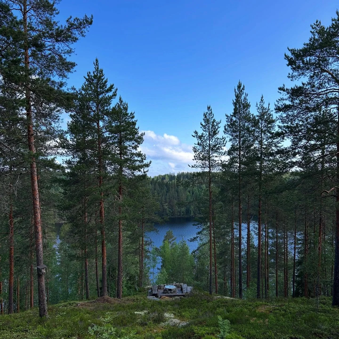 Ihanaa &amp; rentouttavaa Juhannusta!☀️🫶🏻🌿

M&auml; hiljennyn somen puolella ja pid&auml;n nyt 3vrk puhelinpaaston👌🏻

#juhannus #kes&auml; #l&auml;sn&auml;olo #m&auml;ntyharju