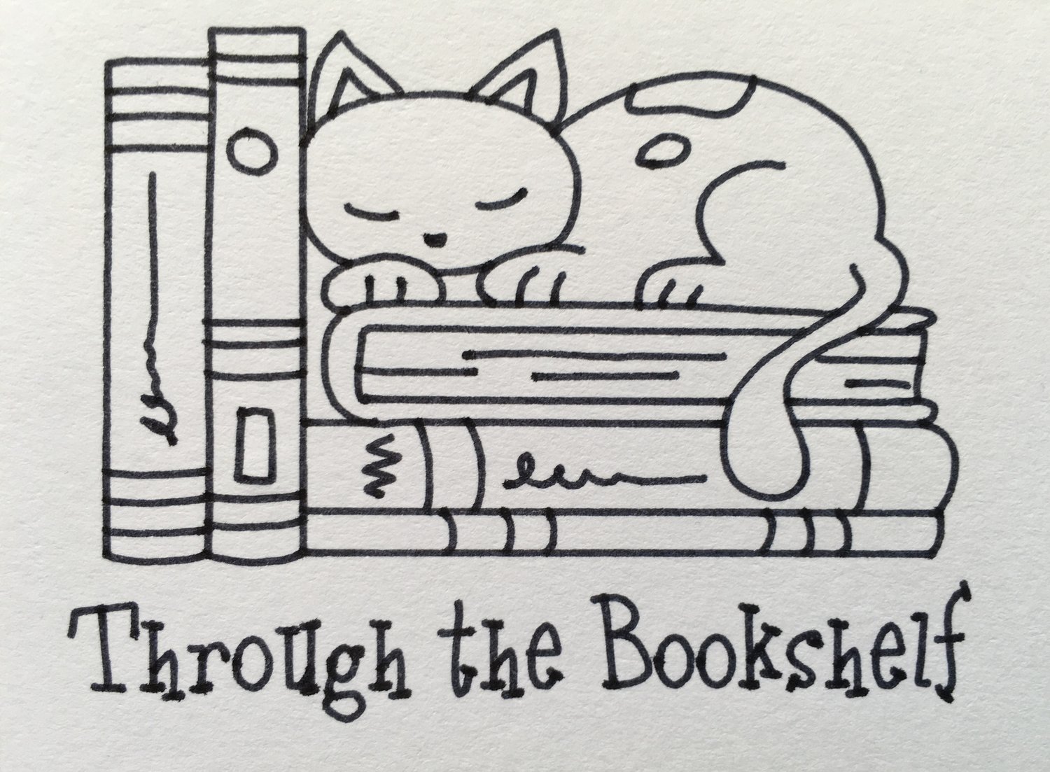 Through the Bookshelf