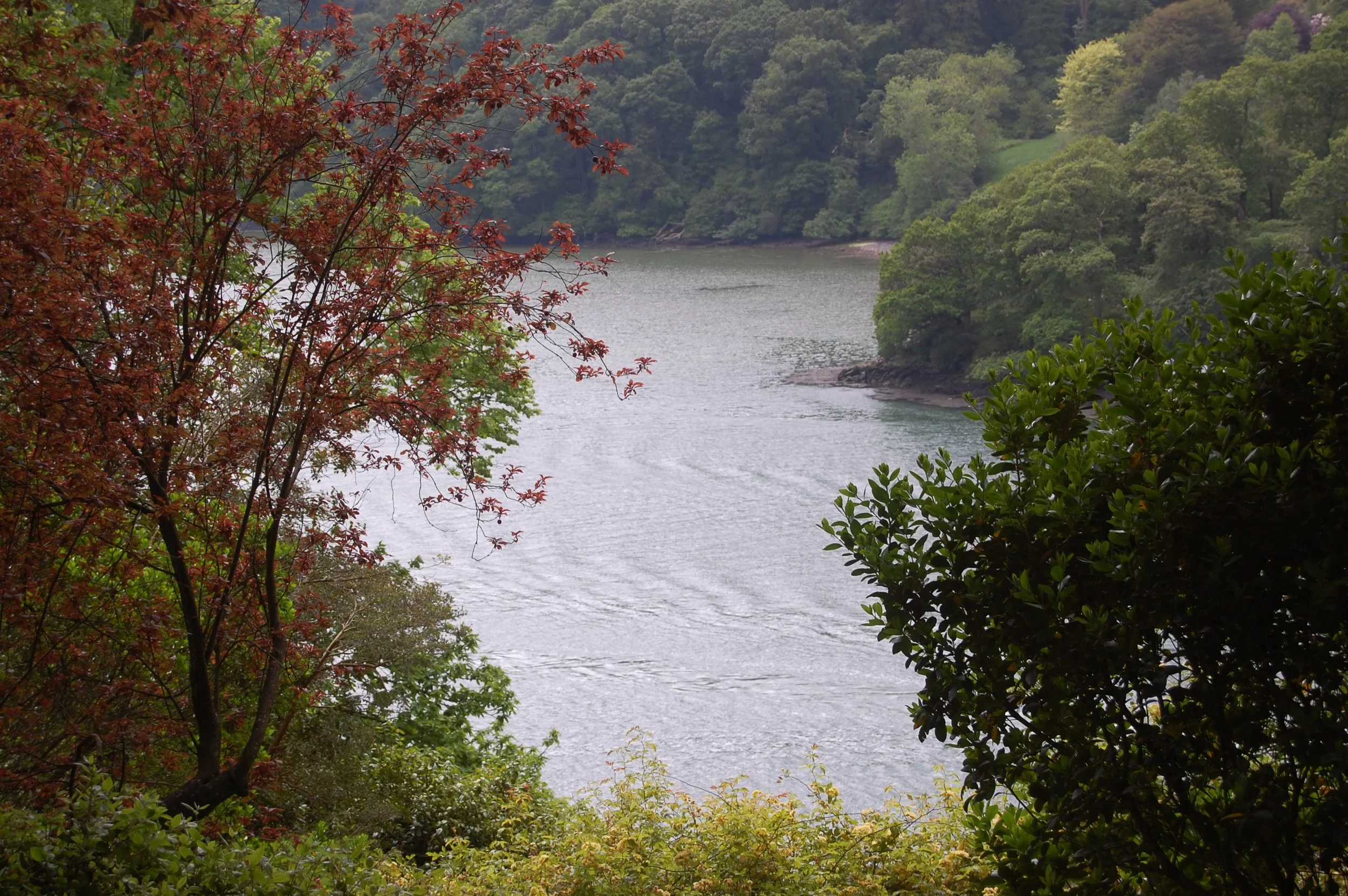DSC_0052.JPG