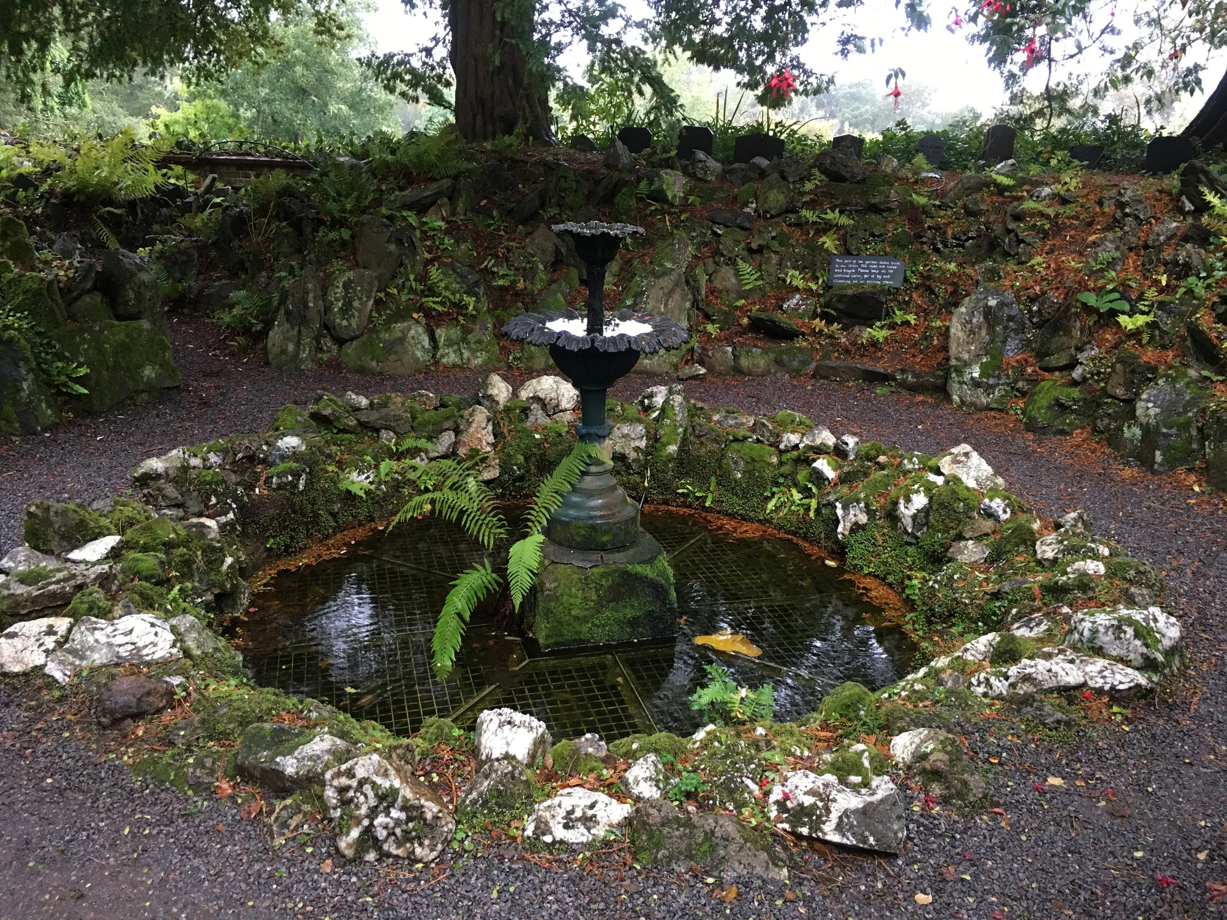 P33. The Fernery with dogs' graves.JPG