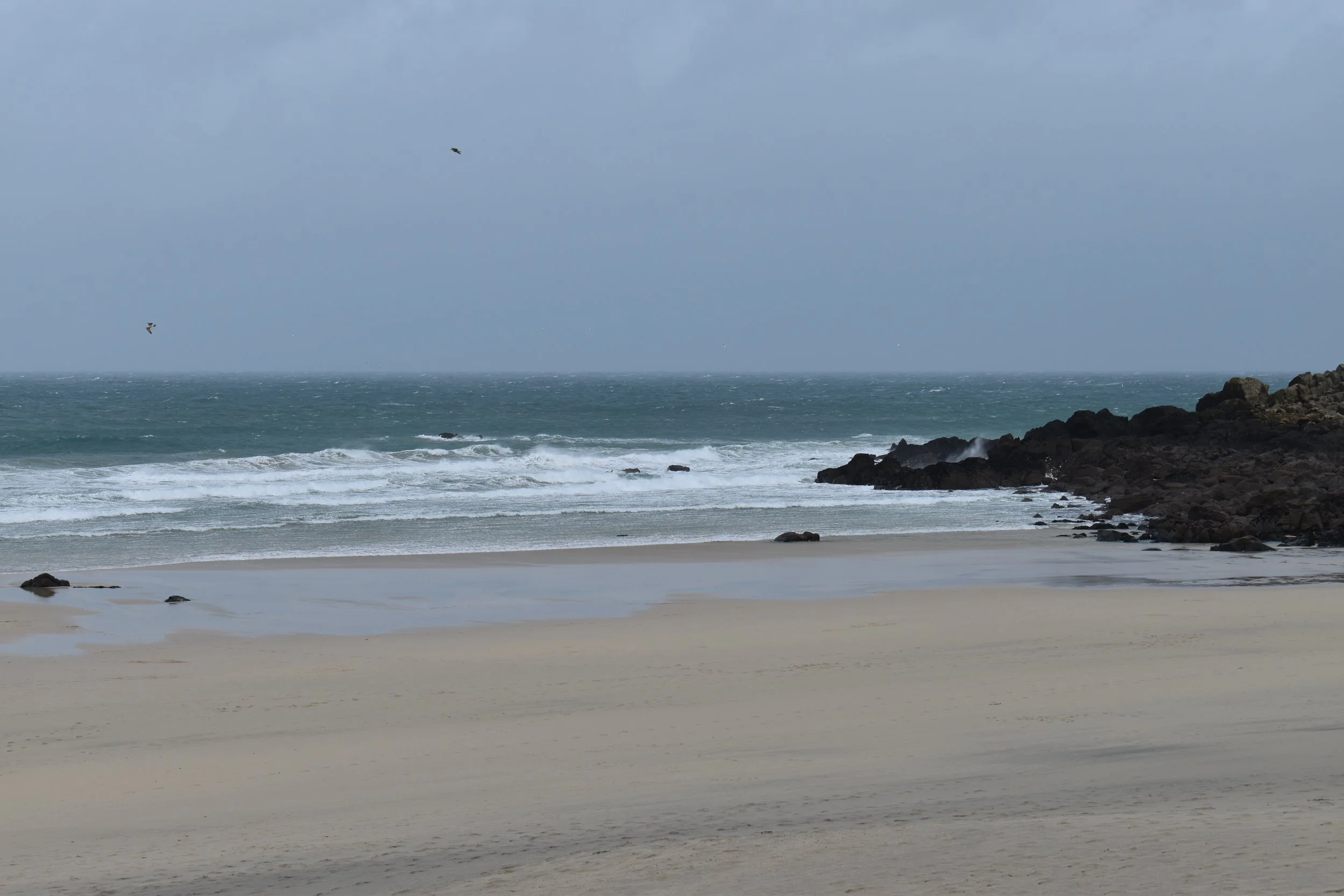 DSC_1064.JPG