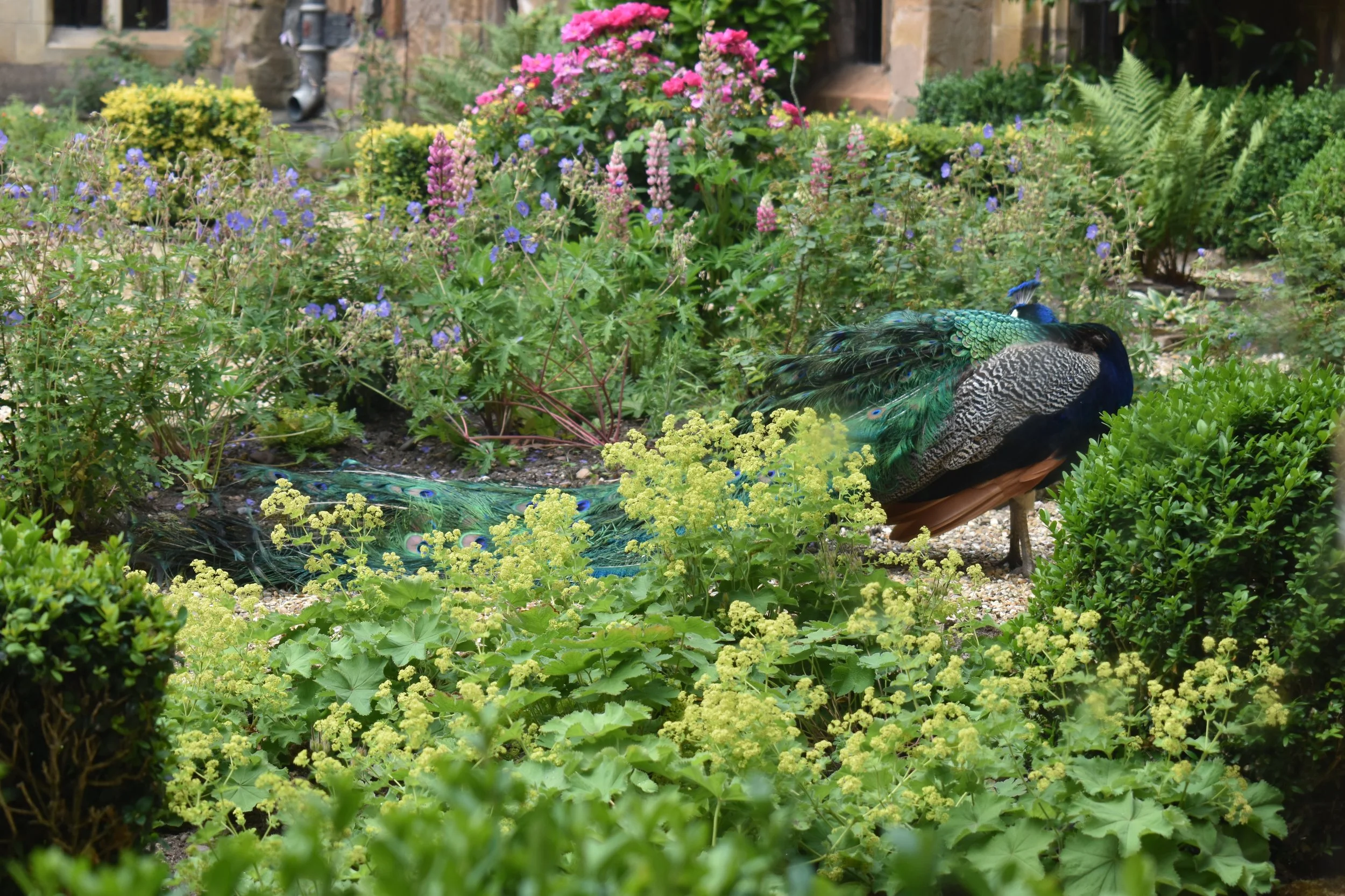 DSC_0554.JPG