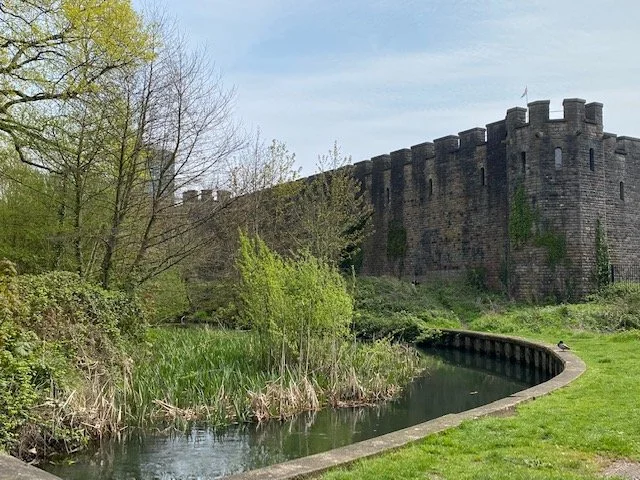 IMG_5042.jpg