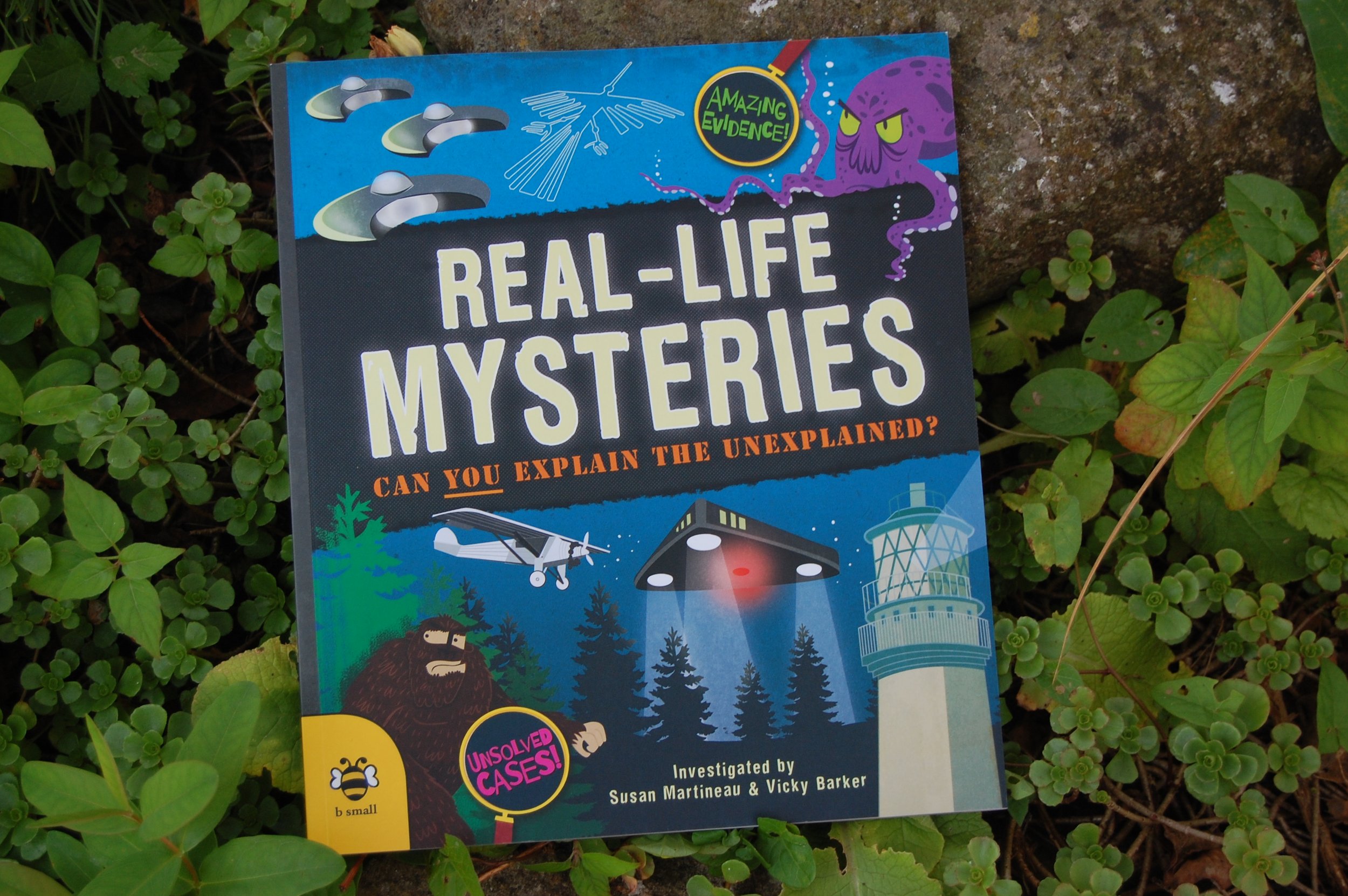 Real Life Mysteries 1.JPG