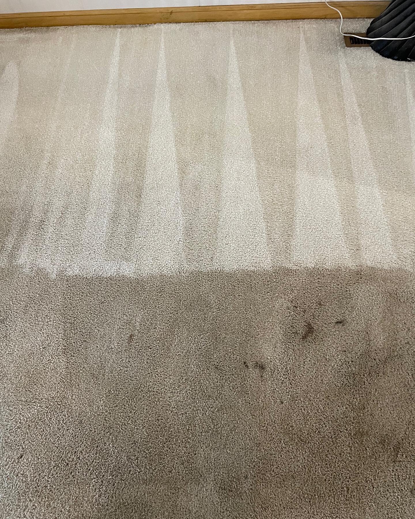 Brighten up that light colored carpet! 🤩

Call to get scheduled! 937-454-0117.