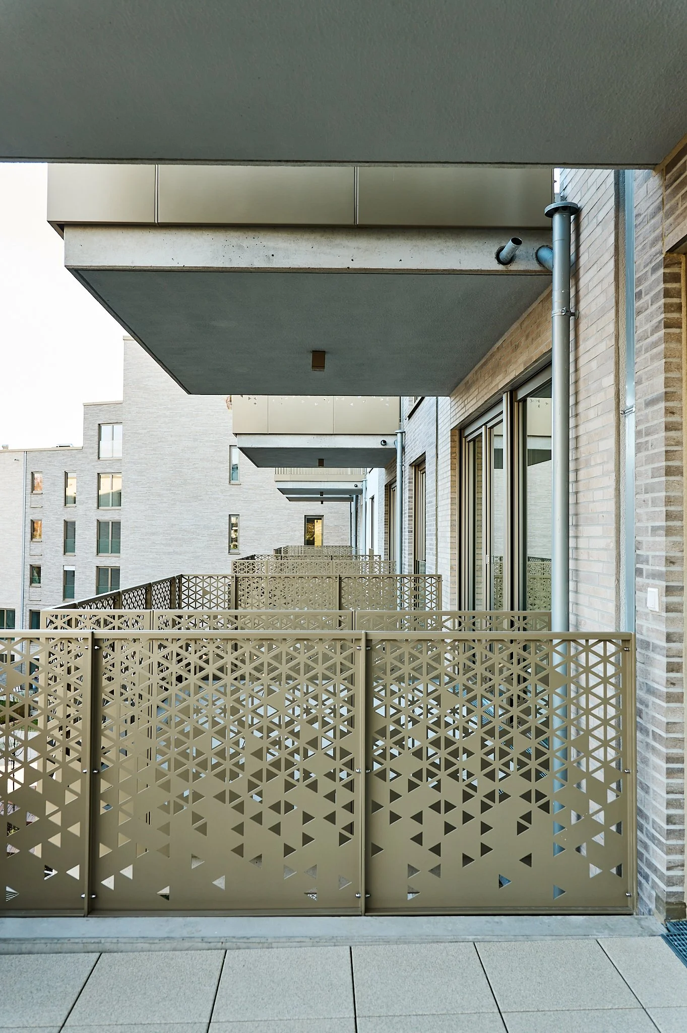 GOLDECK_L1170062_1225.jpg