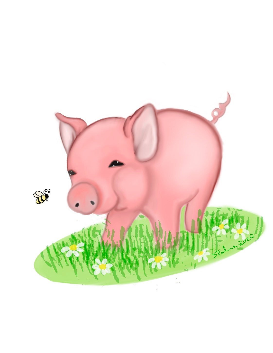 https://i.etsystatic.com/9169569/r/il/df9893/2428214933/il_fullxfull.2428214933_dkff.jpg