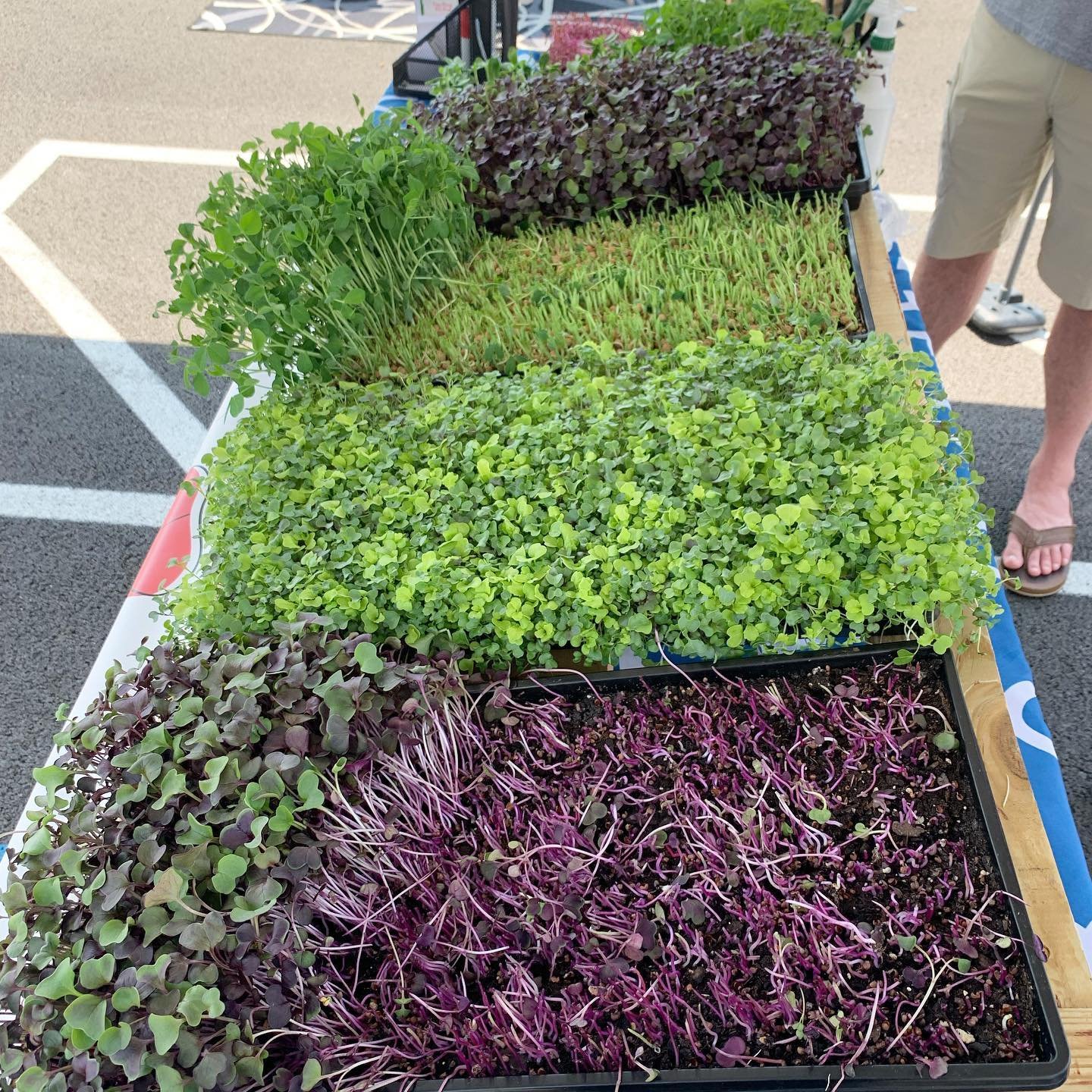 Market mix.jpg