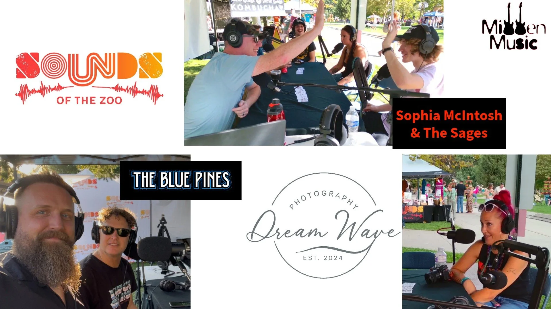 Live from Sounds of the Zoo: Artist Insights