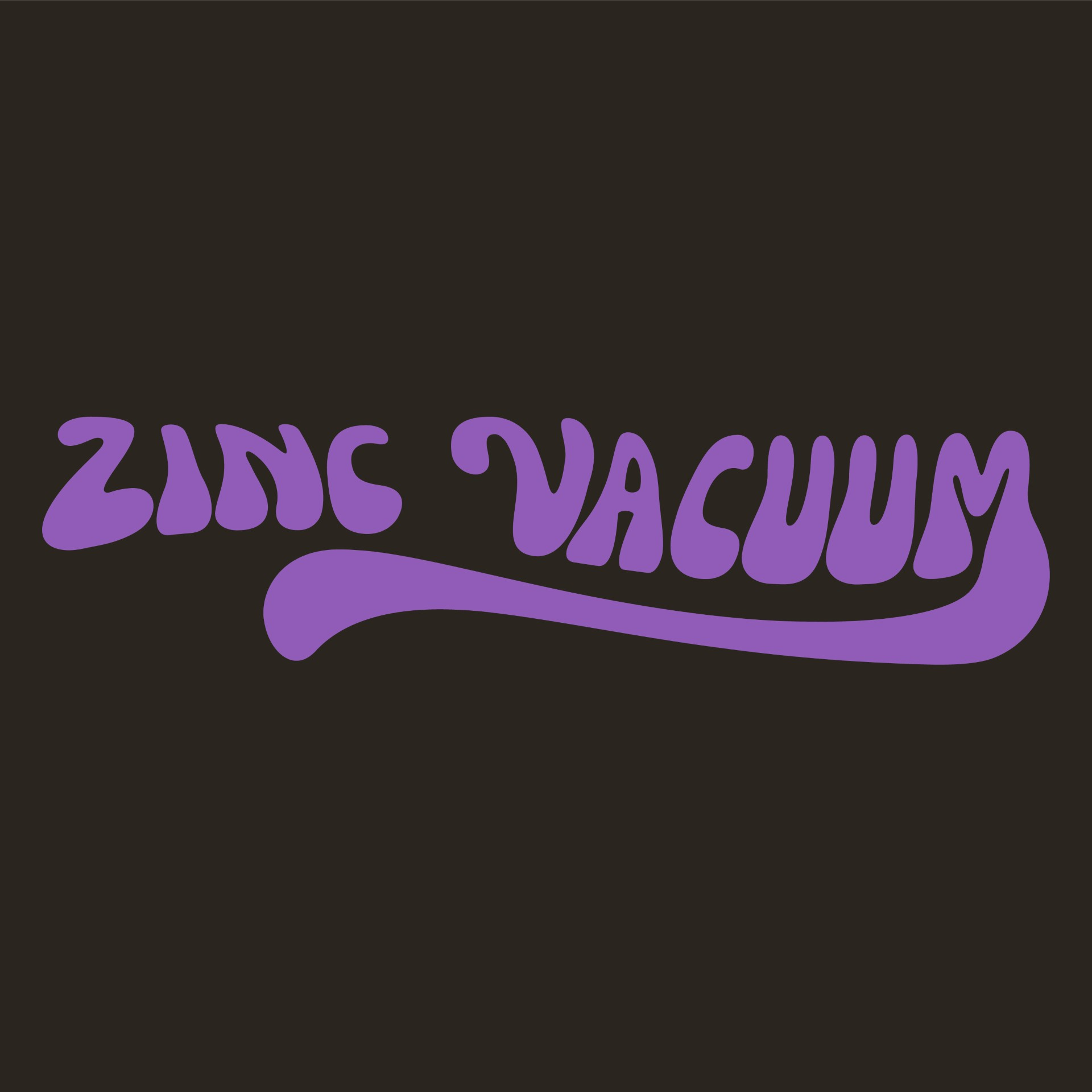 From College Talent Shows to Road Trips: The Rise of Zinc Vacuum