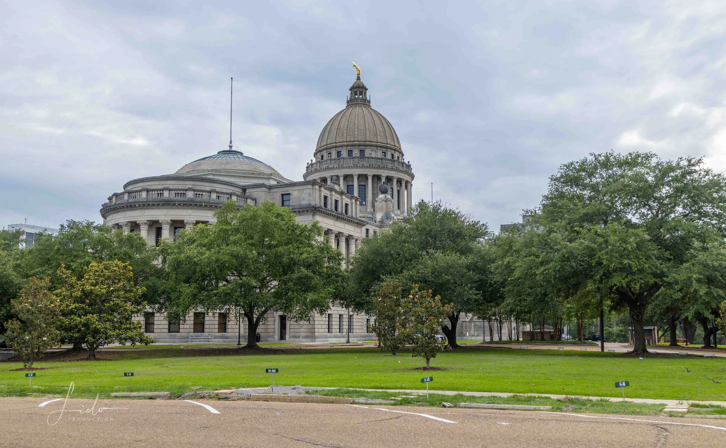 MS_Capitol_1copy (1).jpg