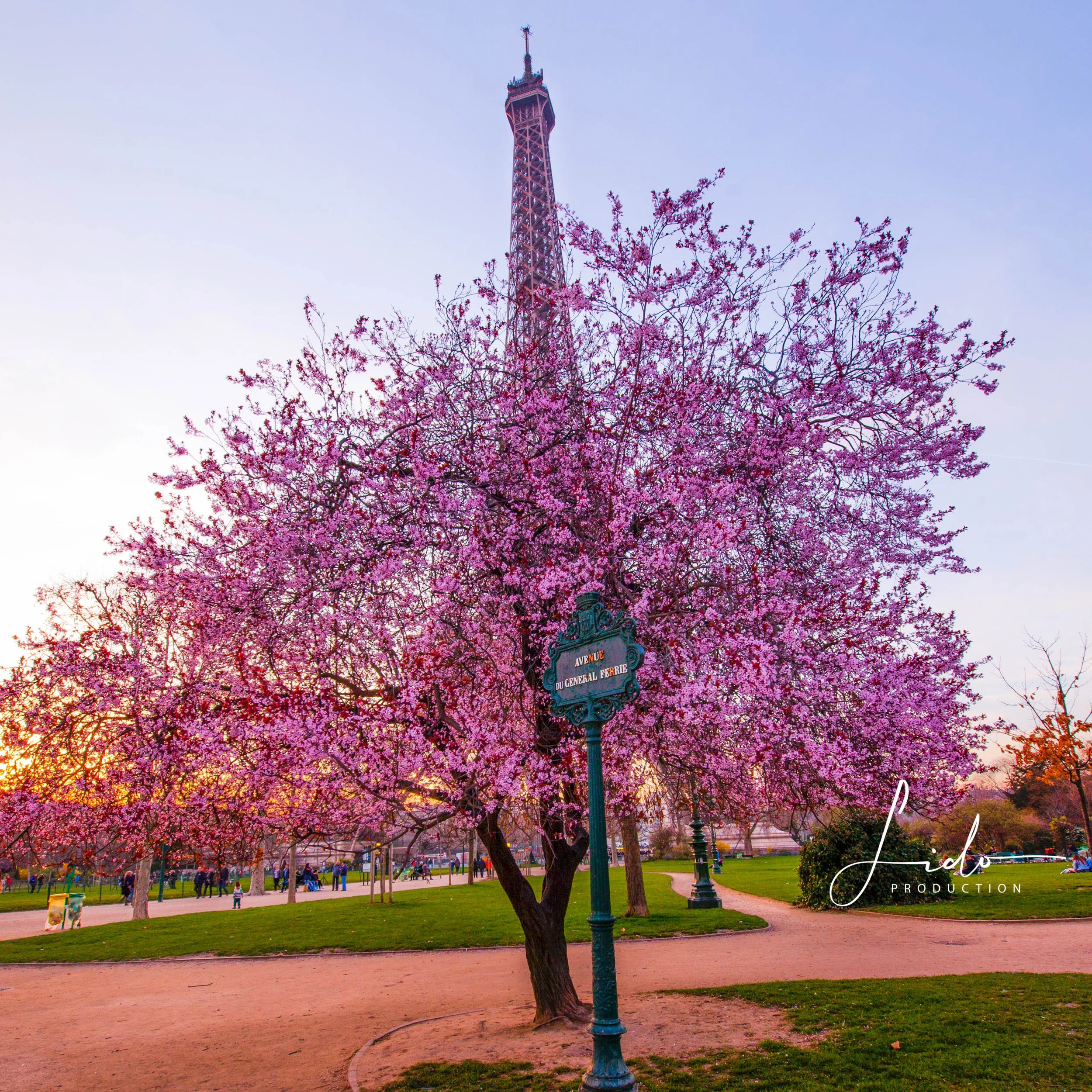 Paris & LoVe