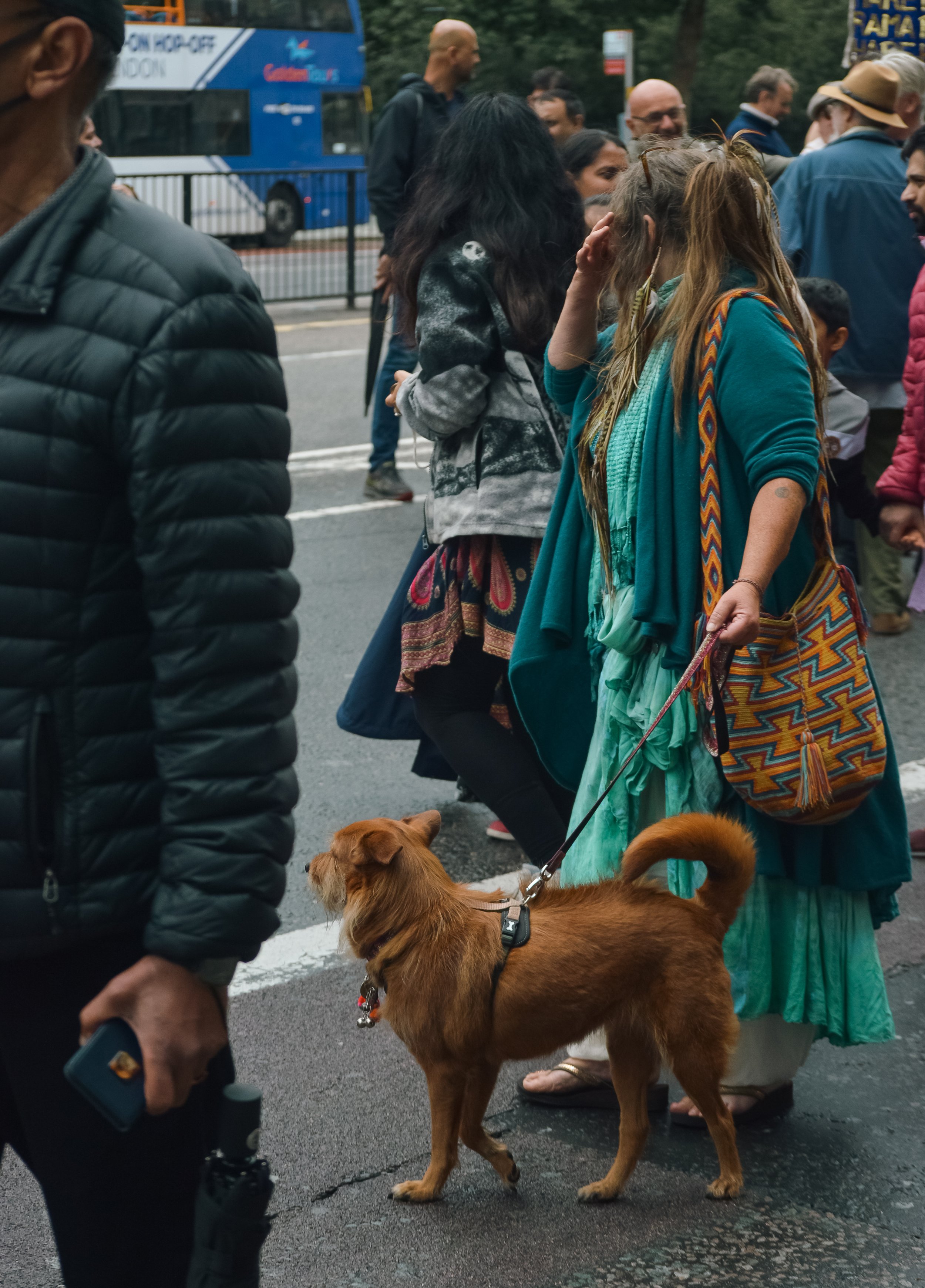 DSC_0056.jpg