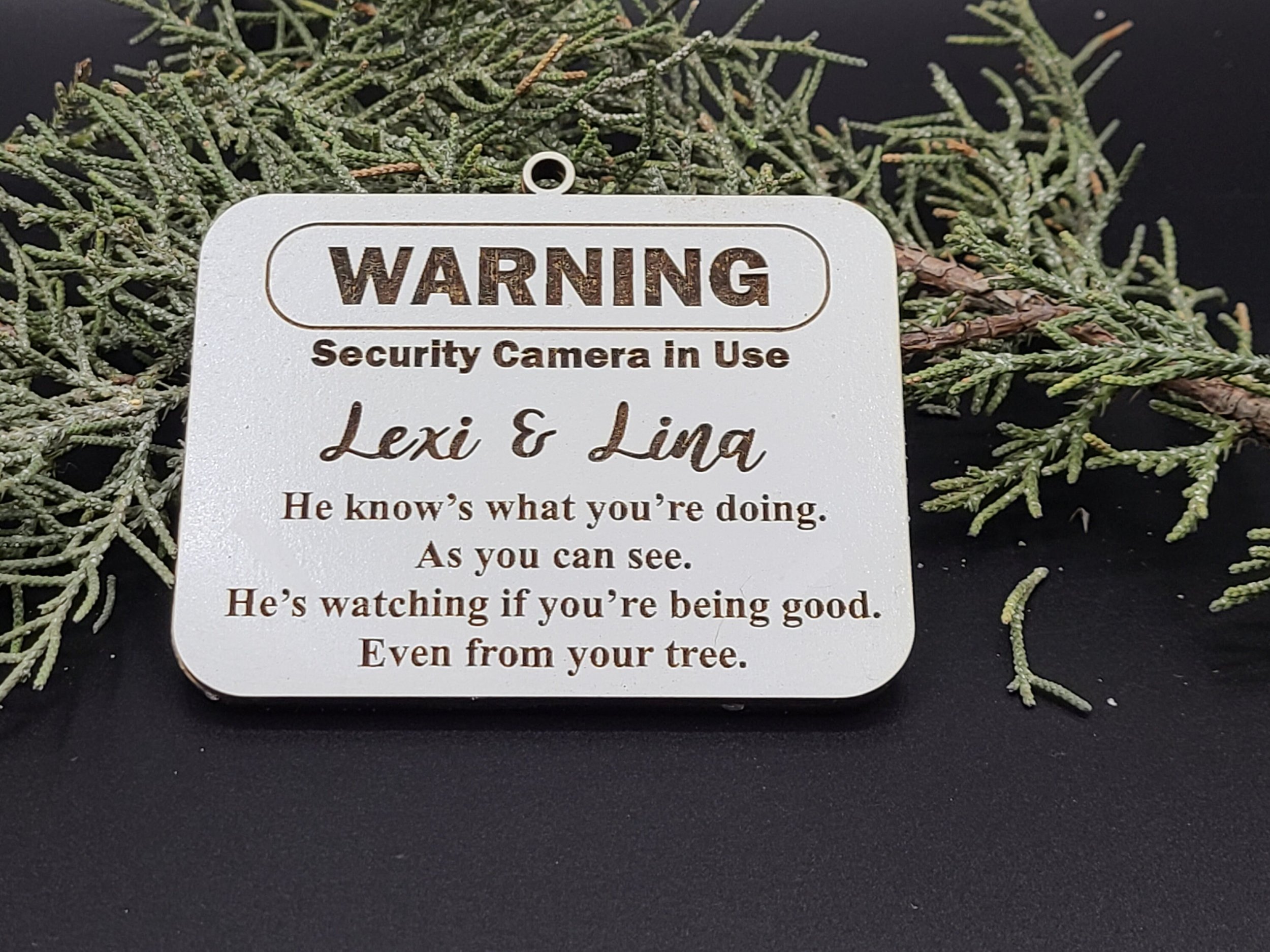 https://i.etsystatic.com/23329516/r/il/d1ebe2/2664518800/il_fullxfull.2664518800_l198.jpg