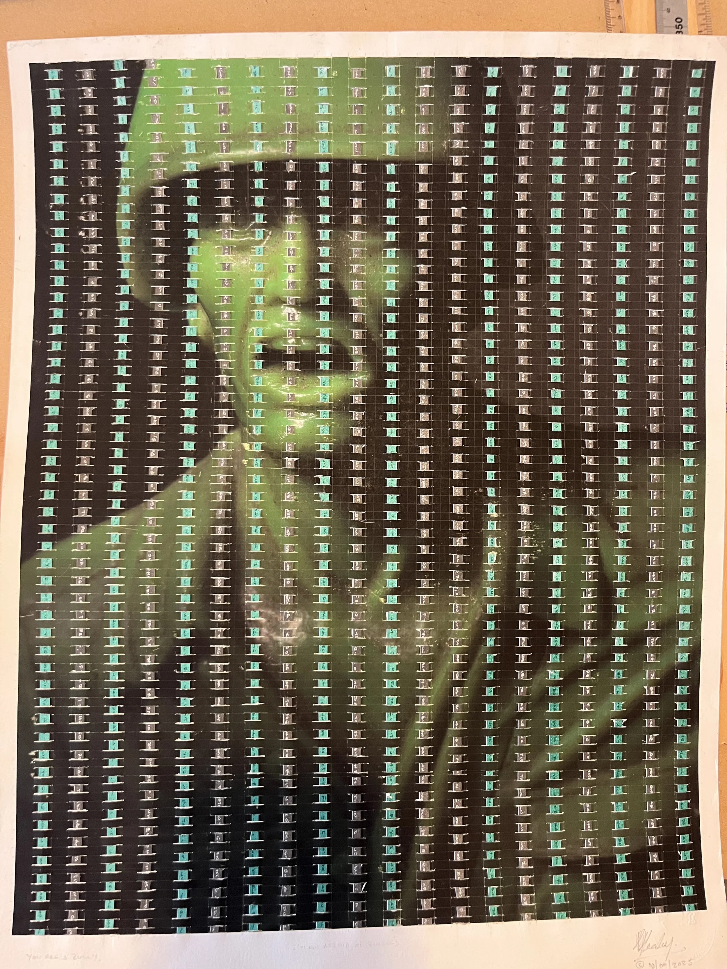 "I won't do what you tell me"  - 2025. Two hand-written meditations woven into the image. Written approximately  2,300 times for each. Green and white is the 1st Amendment to the constitution of the United States. Black and white is the 2nd Amendment