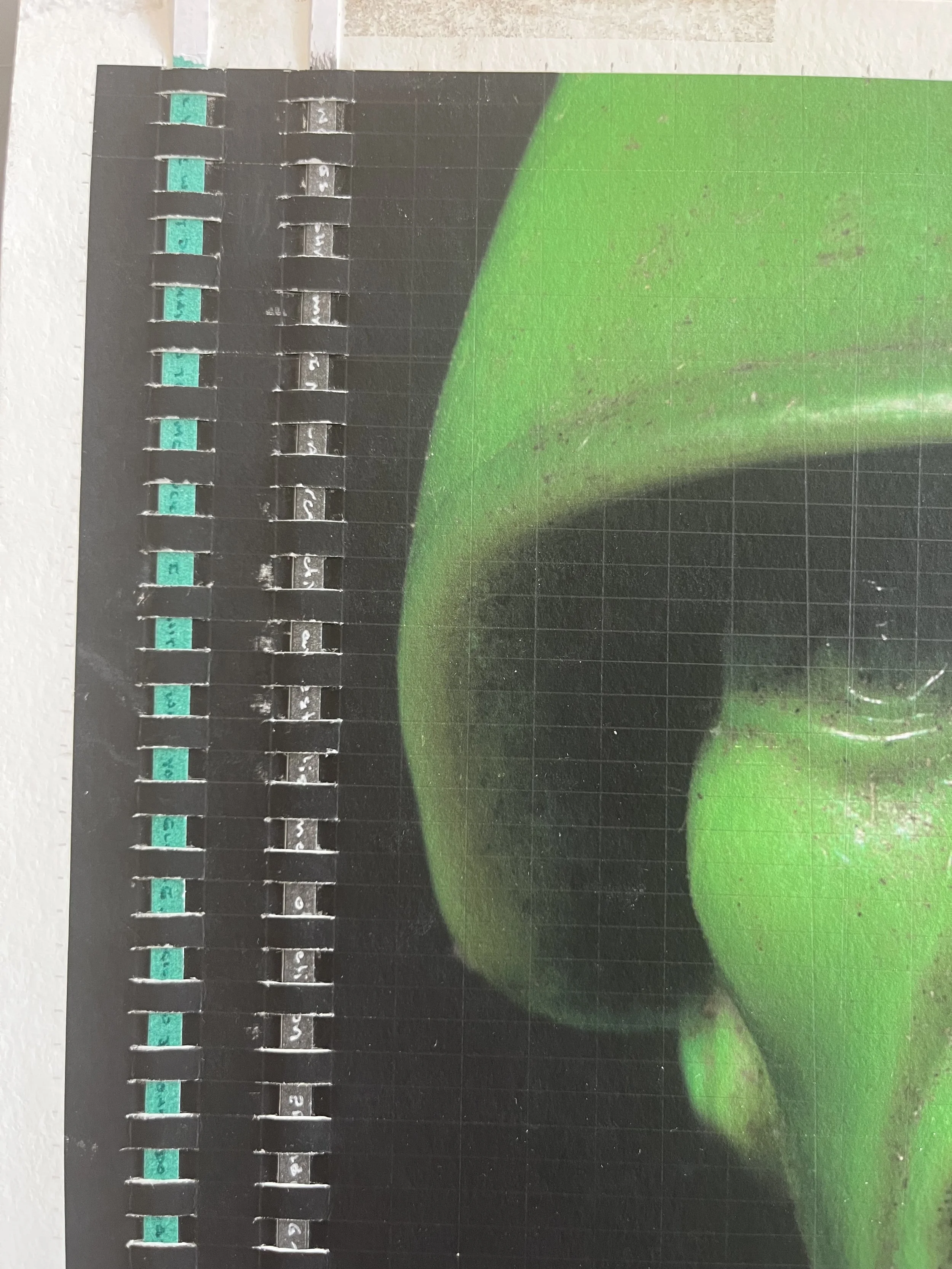 "I won't do what you tell me"  - 2025. Two hand-written meditations woven into the image. Written approximately  2,300 times for each. Green and white is the 1st Amendment to the constitution of the United States. Black and white is the 2nd Amendment