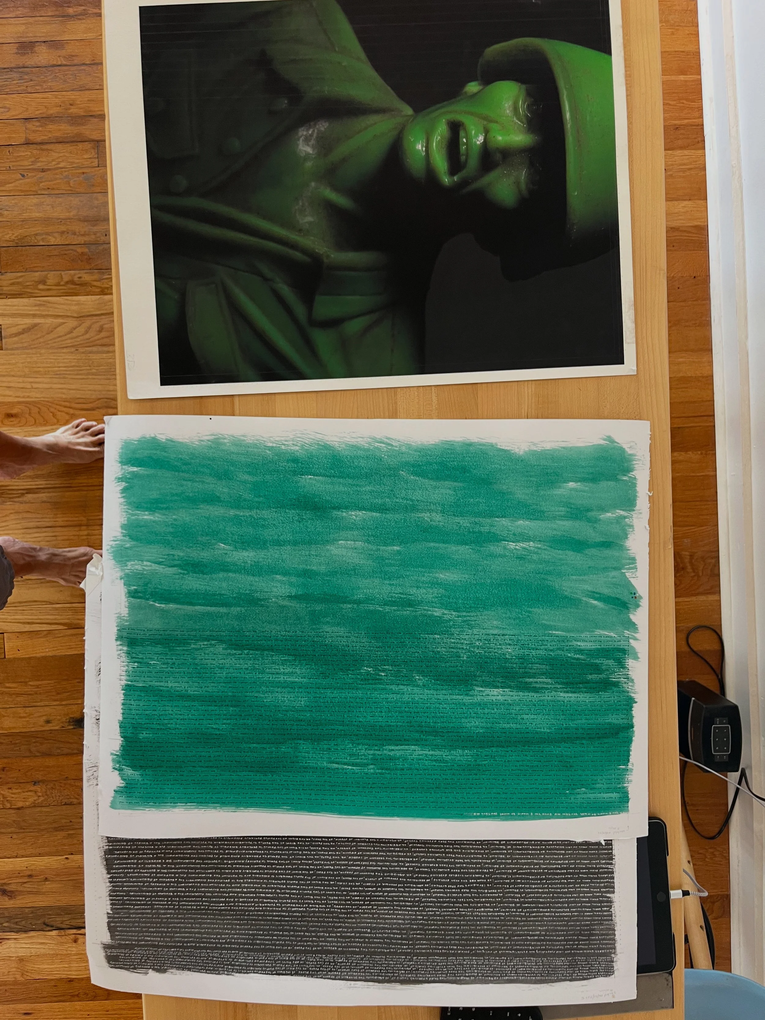 "As The Founders Intended  - 2025 - Hand-written and woven. Ink on paper. 
Green and green words - "Fuck You I Won't Do What You Tell Me"  
Black with white words First Amendment (sold)