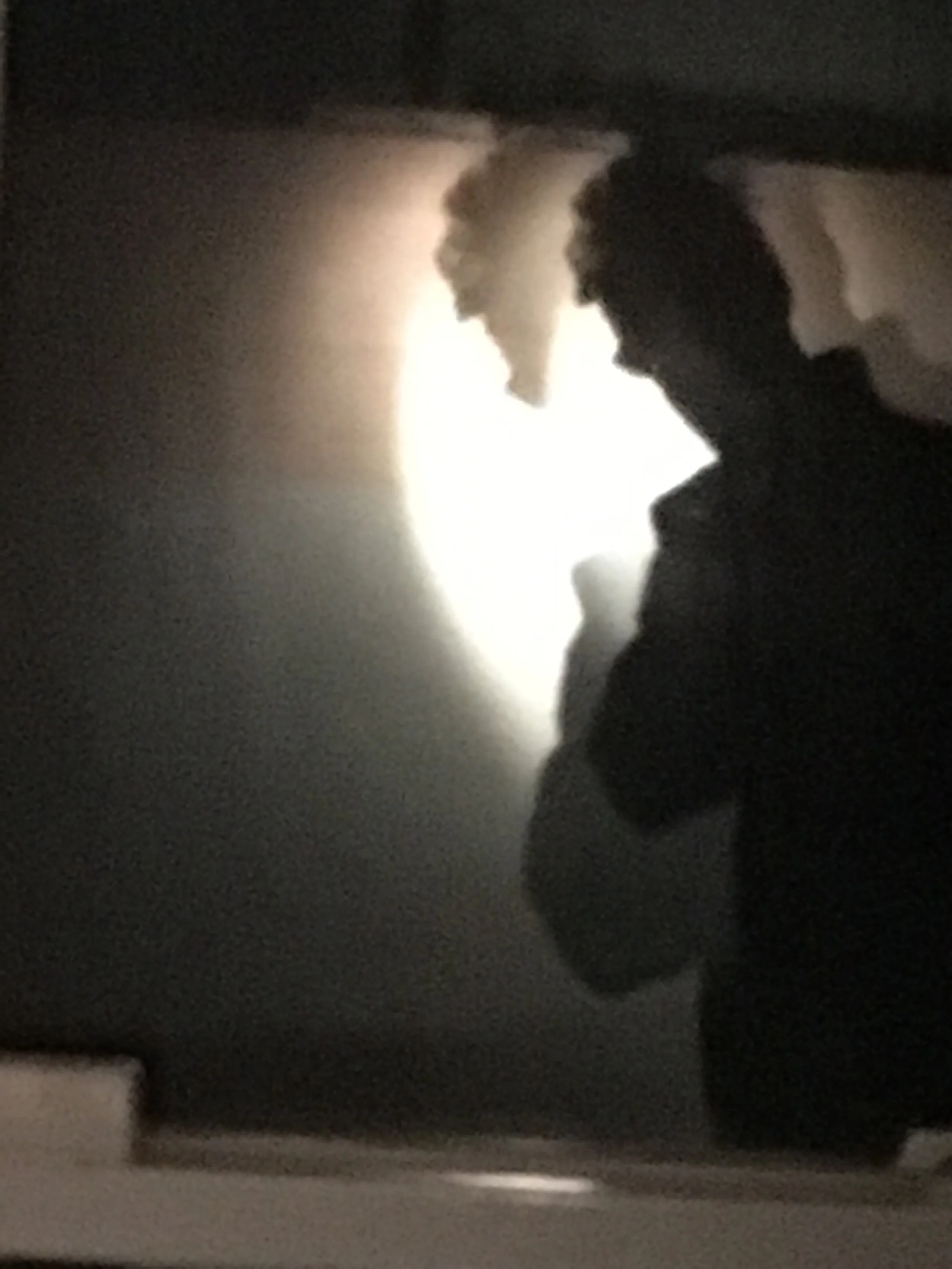 "Forgive."  - 2018. Hand-written about 10,740 times. 
Ink on paper. (Sold)