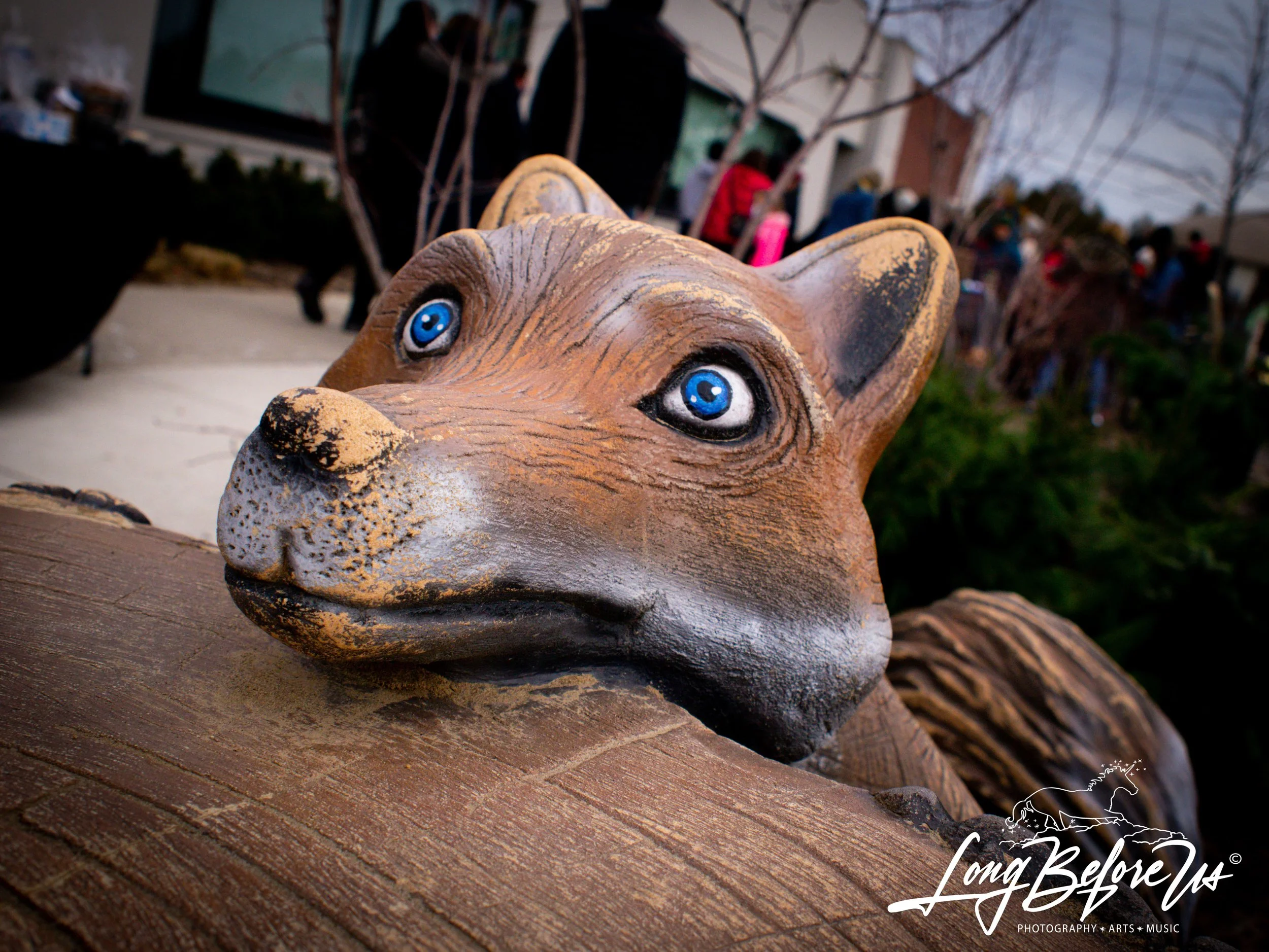 Foxy the fox