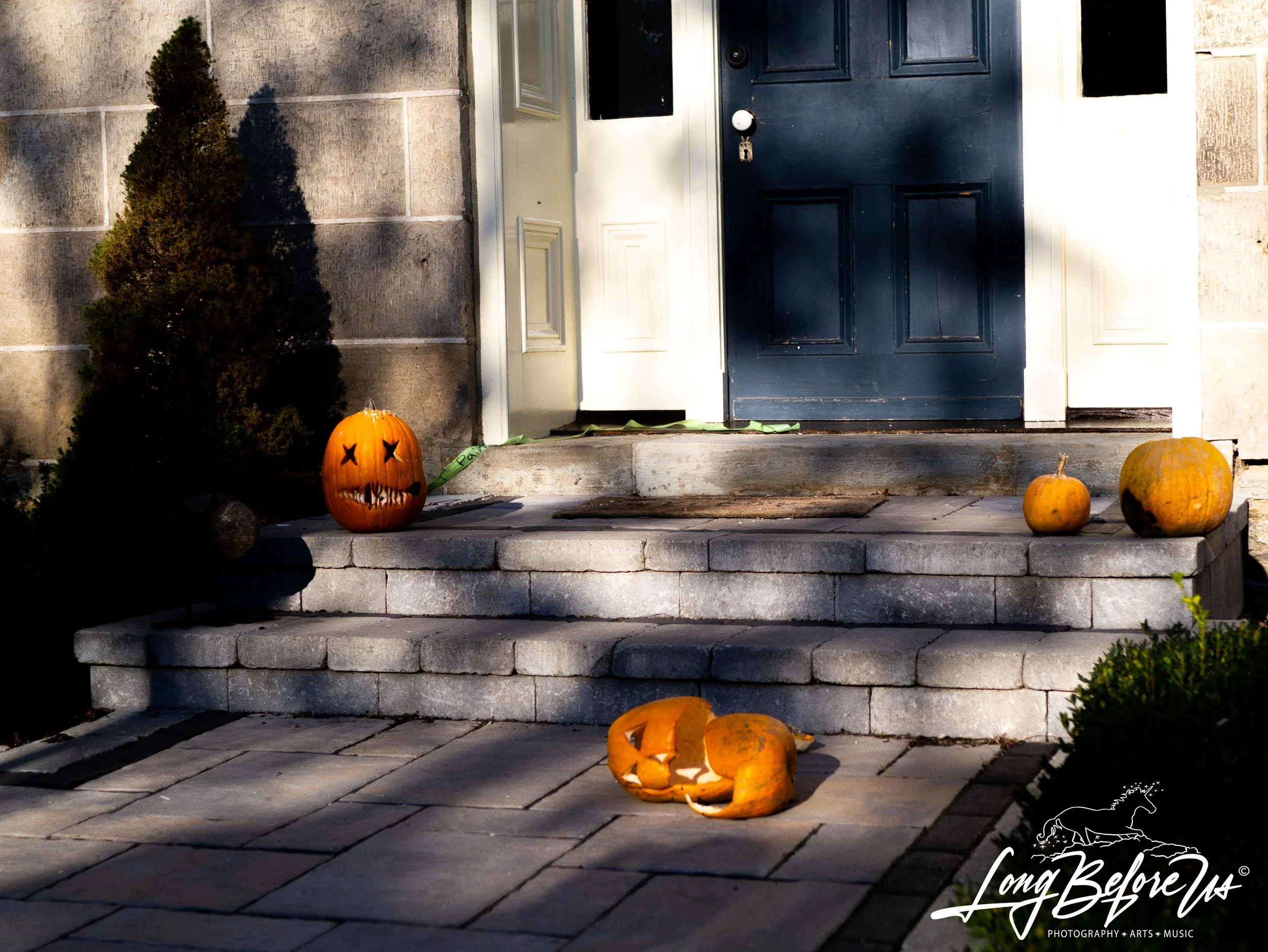 Pumkies