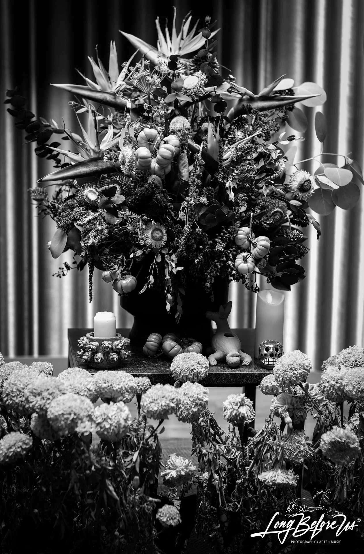 Happy Day of the Dead! 