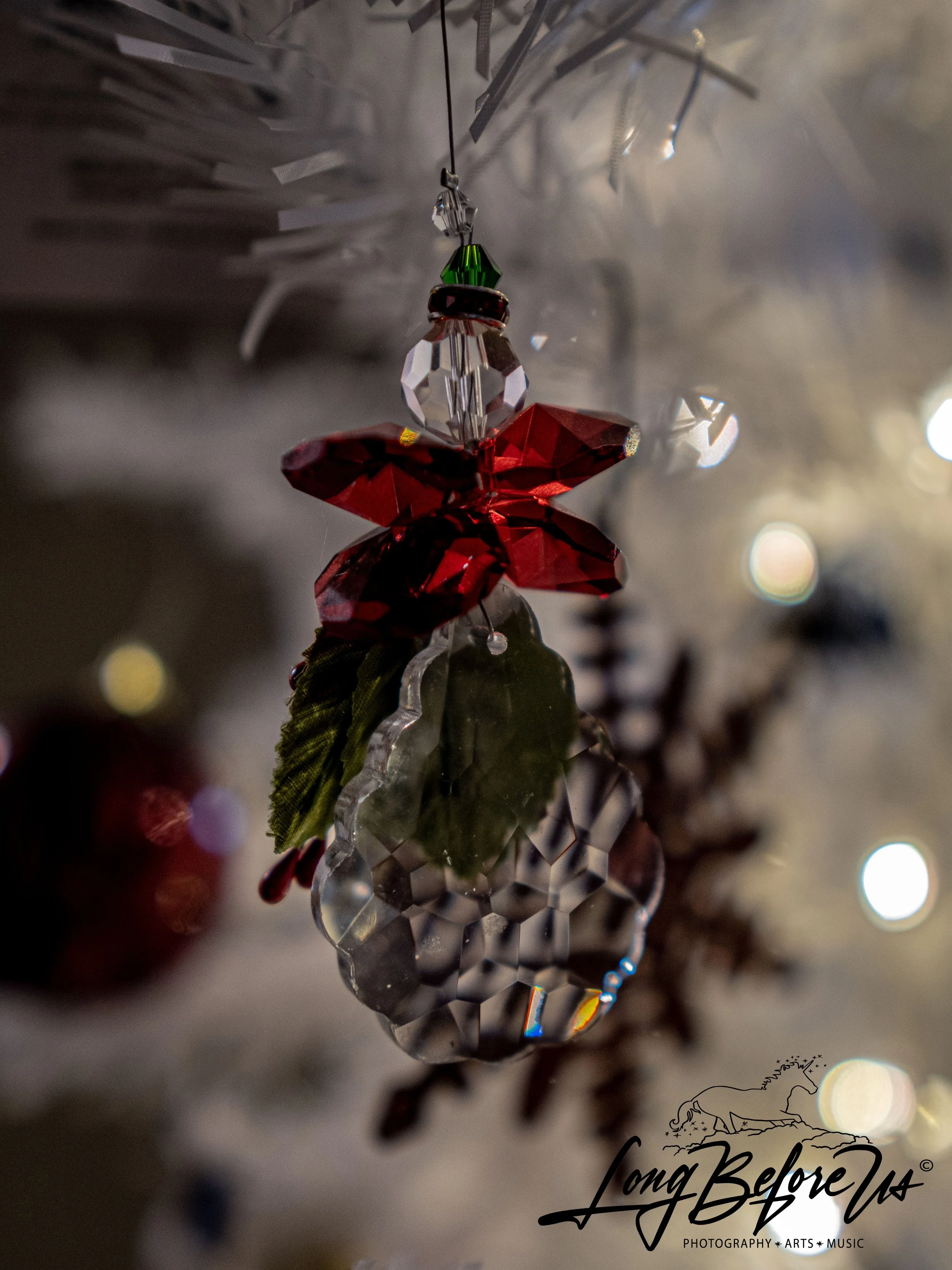 Merry Christmas and Happy Holidays!! 