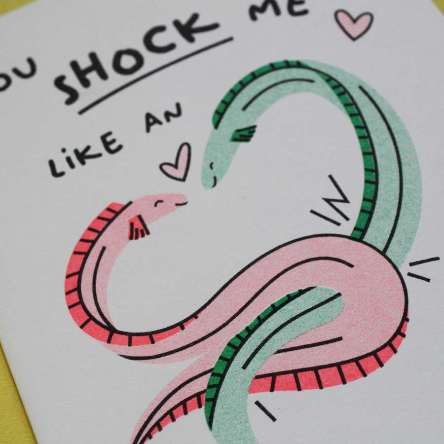 Eels_close_up_2.png