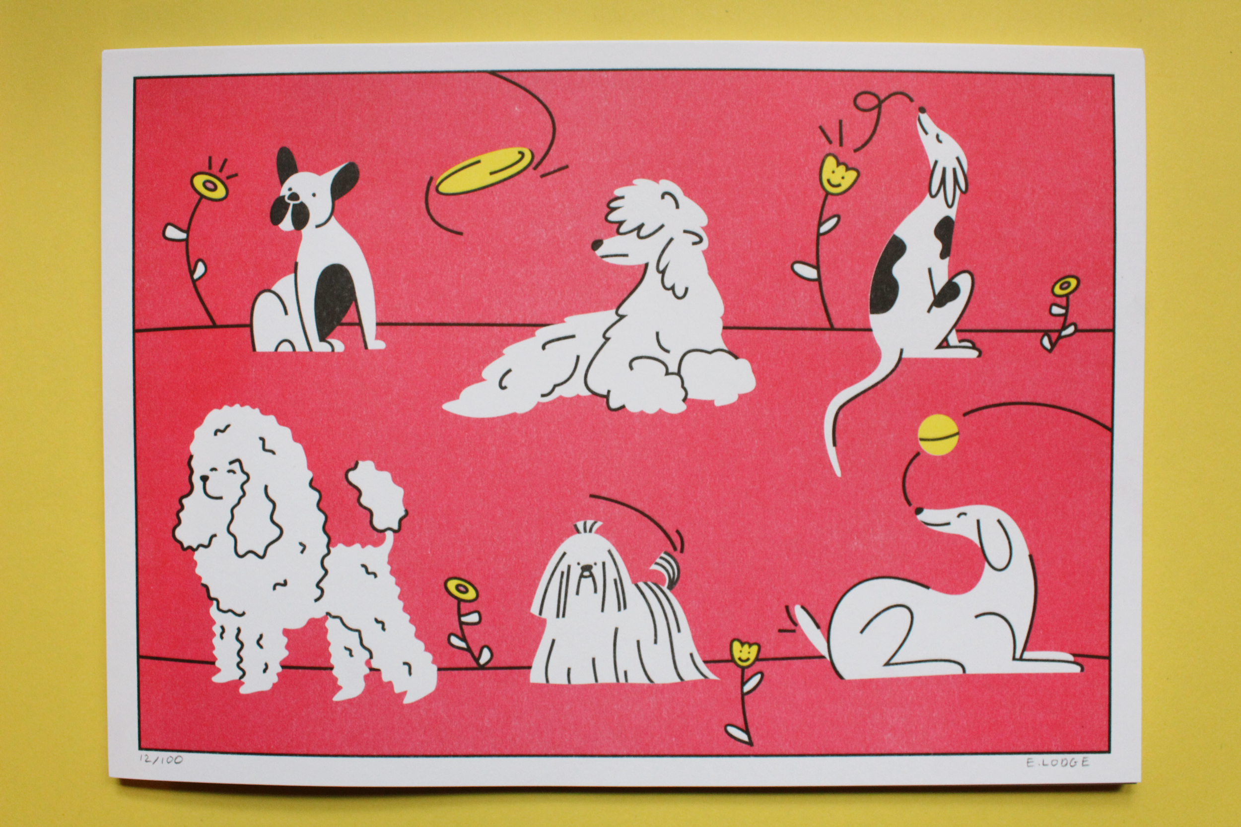 Dog_riso_full_close_up.png