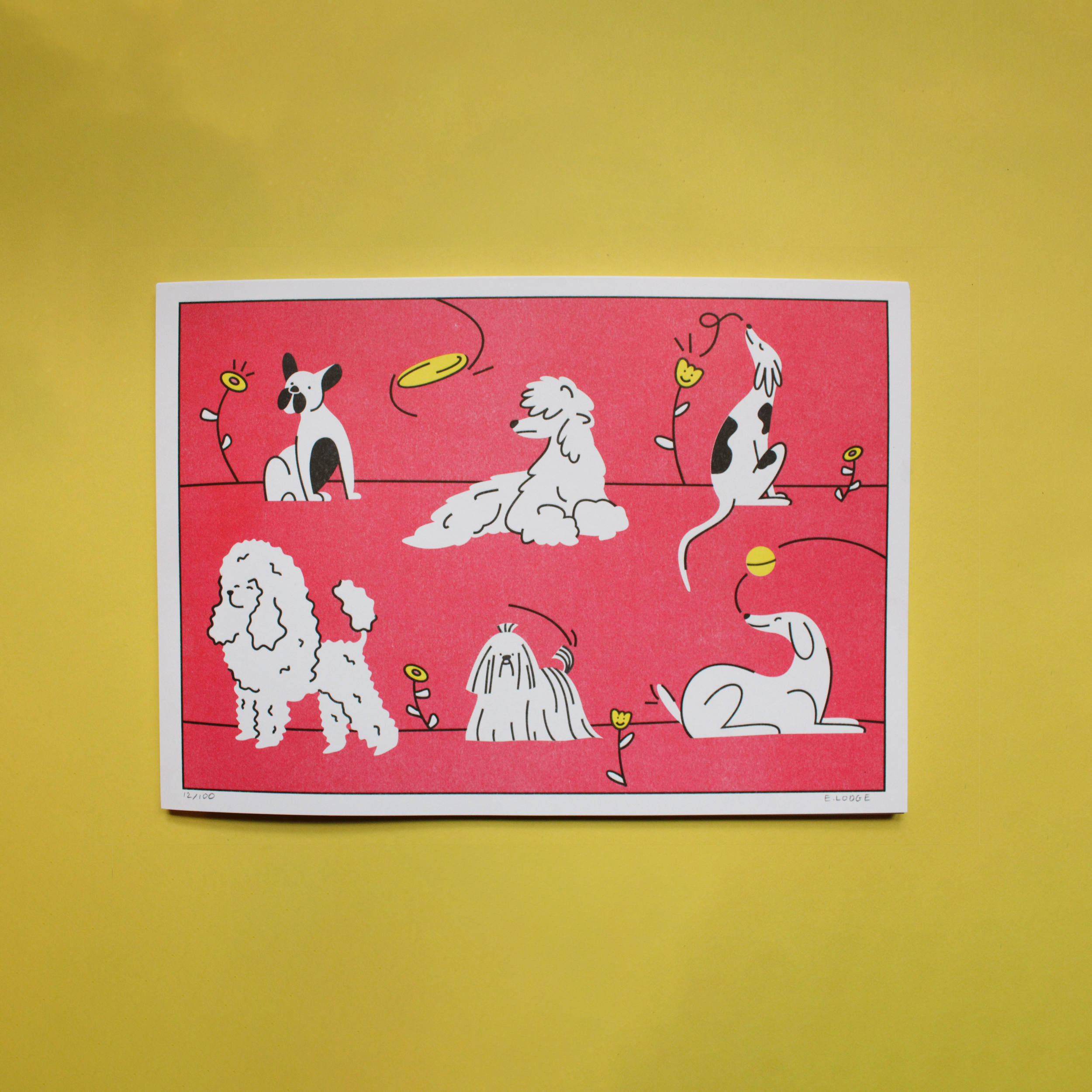 Dogs | A4 Risograph print
