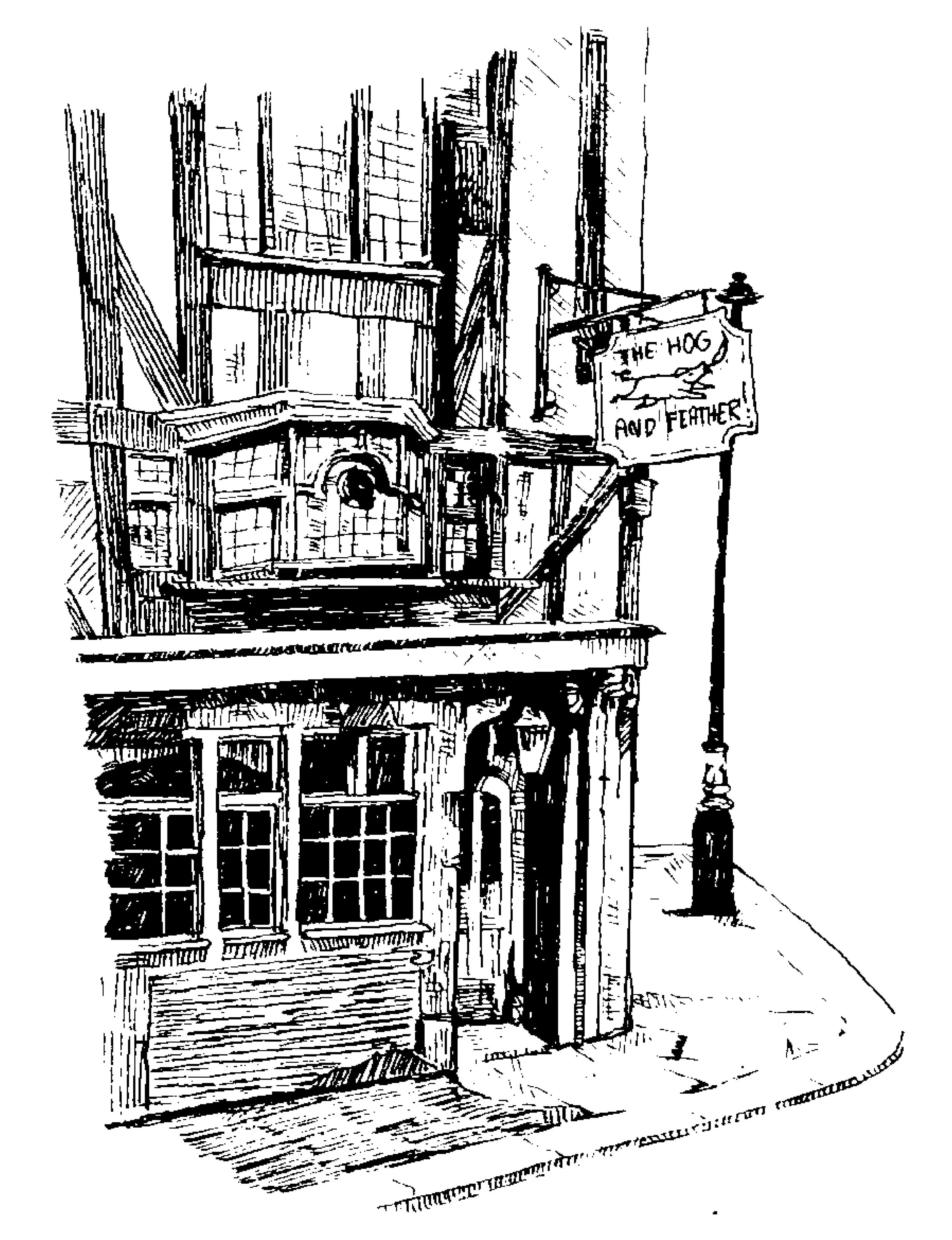 hog_feather.jpeg