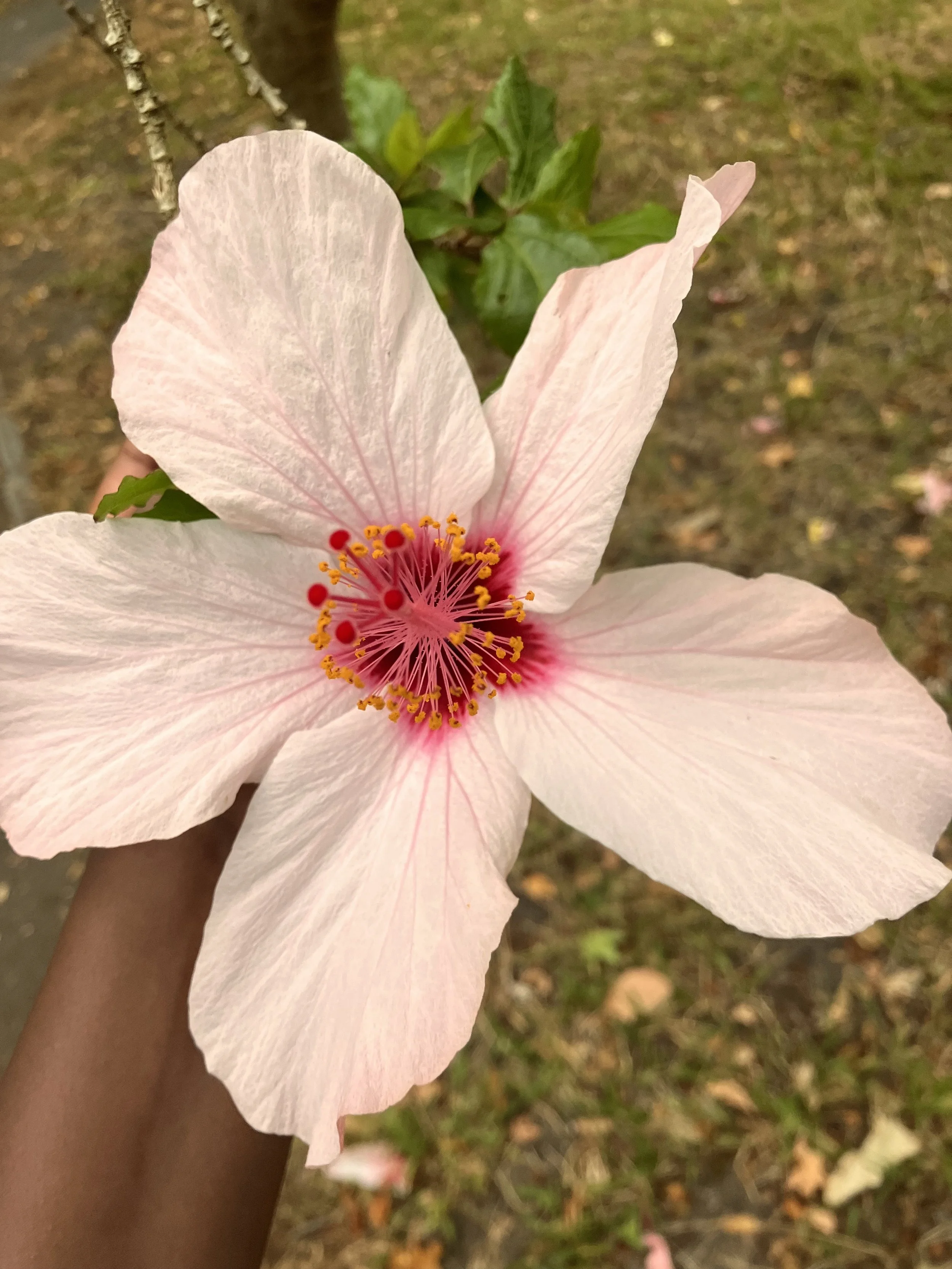 After Despair comes hope