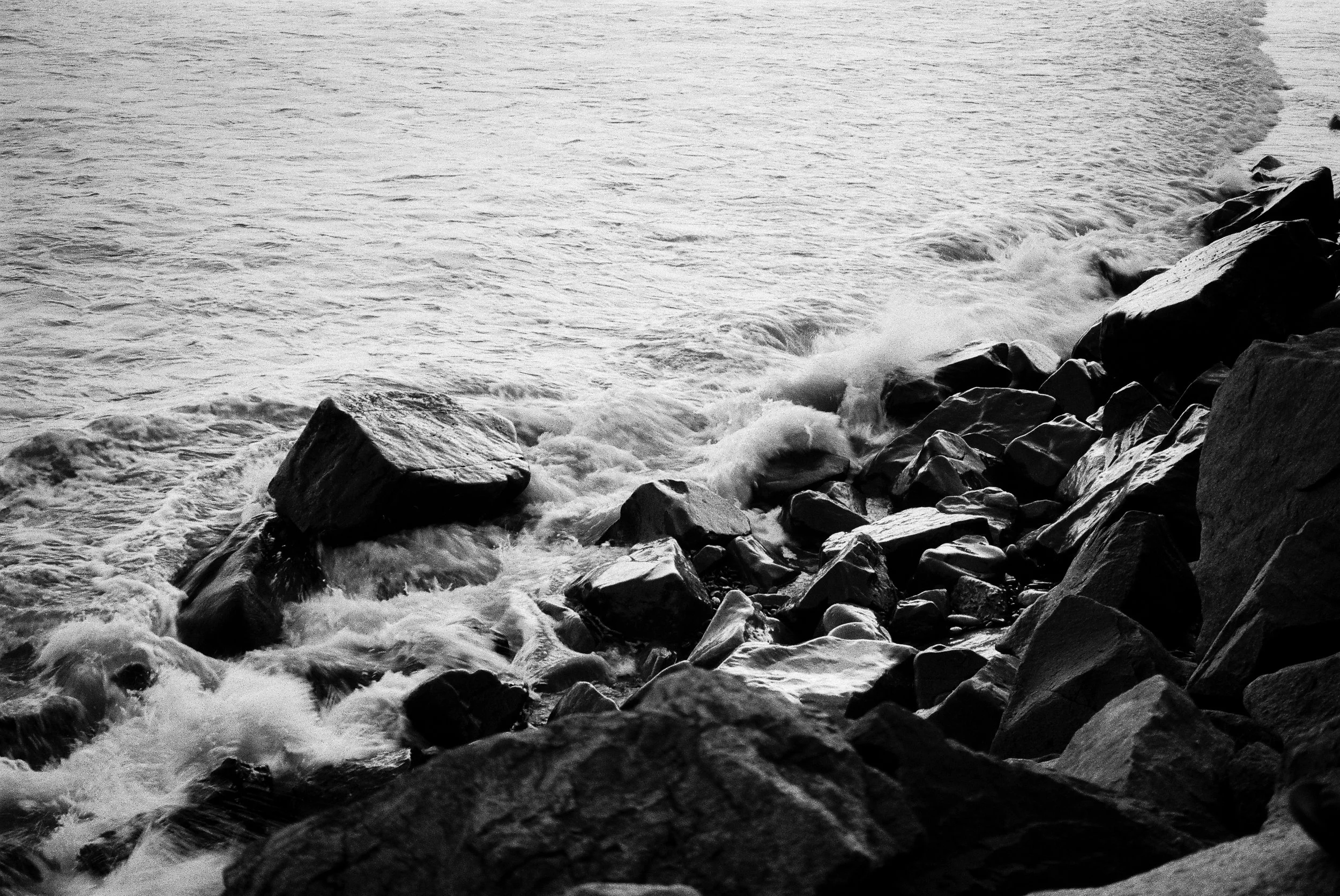 High Tide - 2026