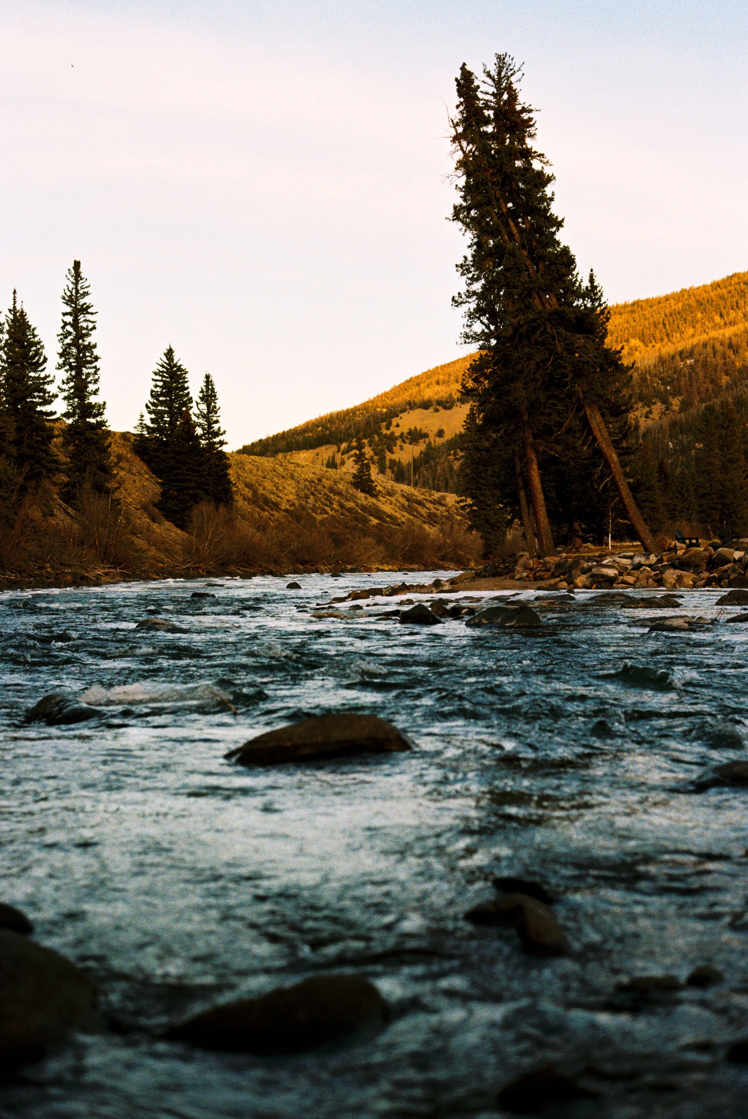 CREEDE FLY FISHING - 2026
