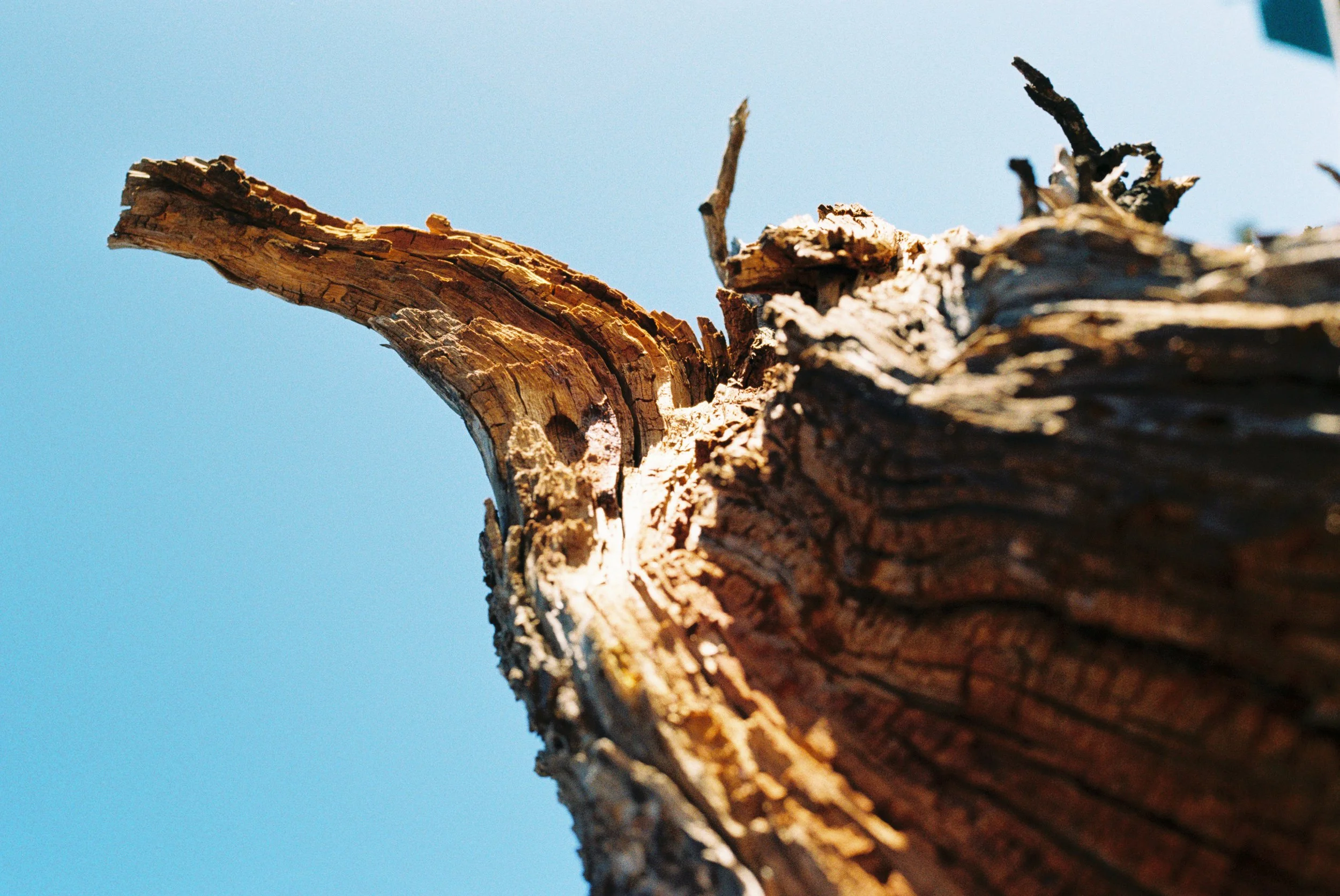 CREEDE FLY FISHING - 2026