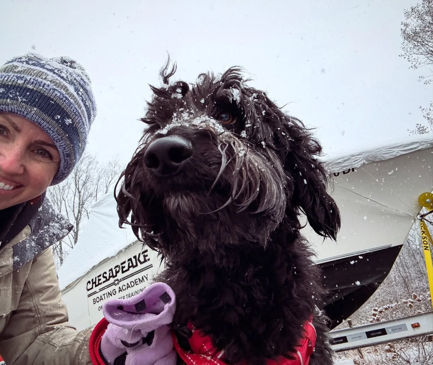 Boat check in the snow with Poppy 🐕&zwj;🦺
#chesapeakeboatingacademy #baydog #boatdog #snowday
