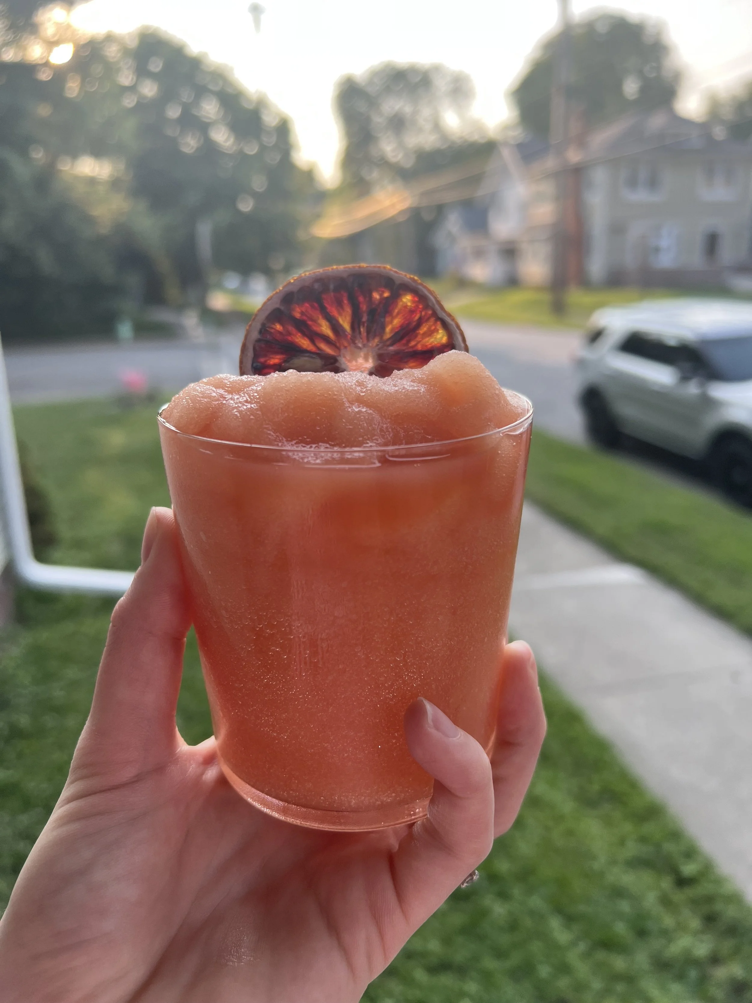 Frogroni Recipe (Frozen Negroni) | Indianapolis Mixology Classes &amp; Cocktail Ideas