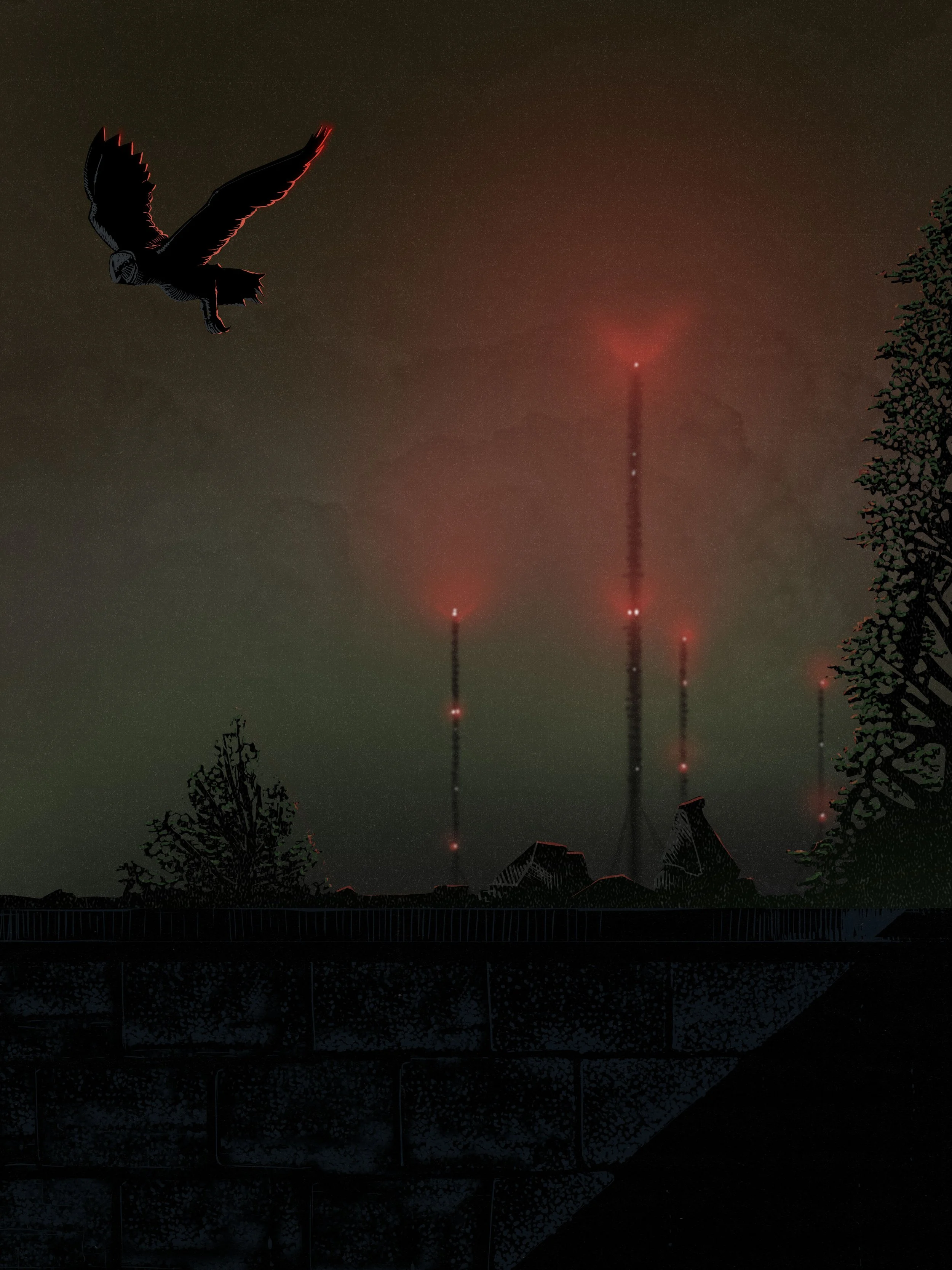 OWL NIGHT.jpg
